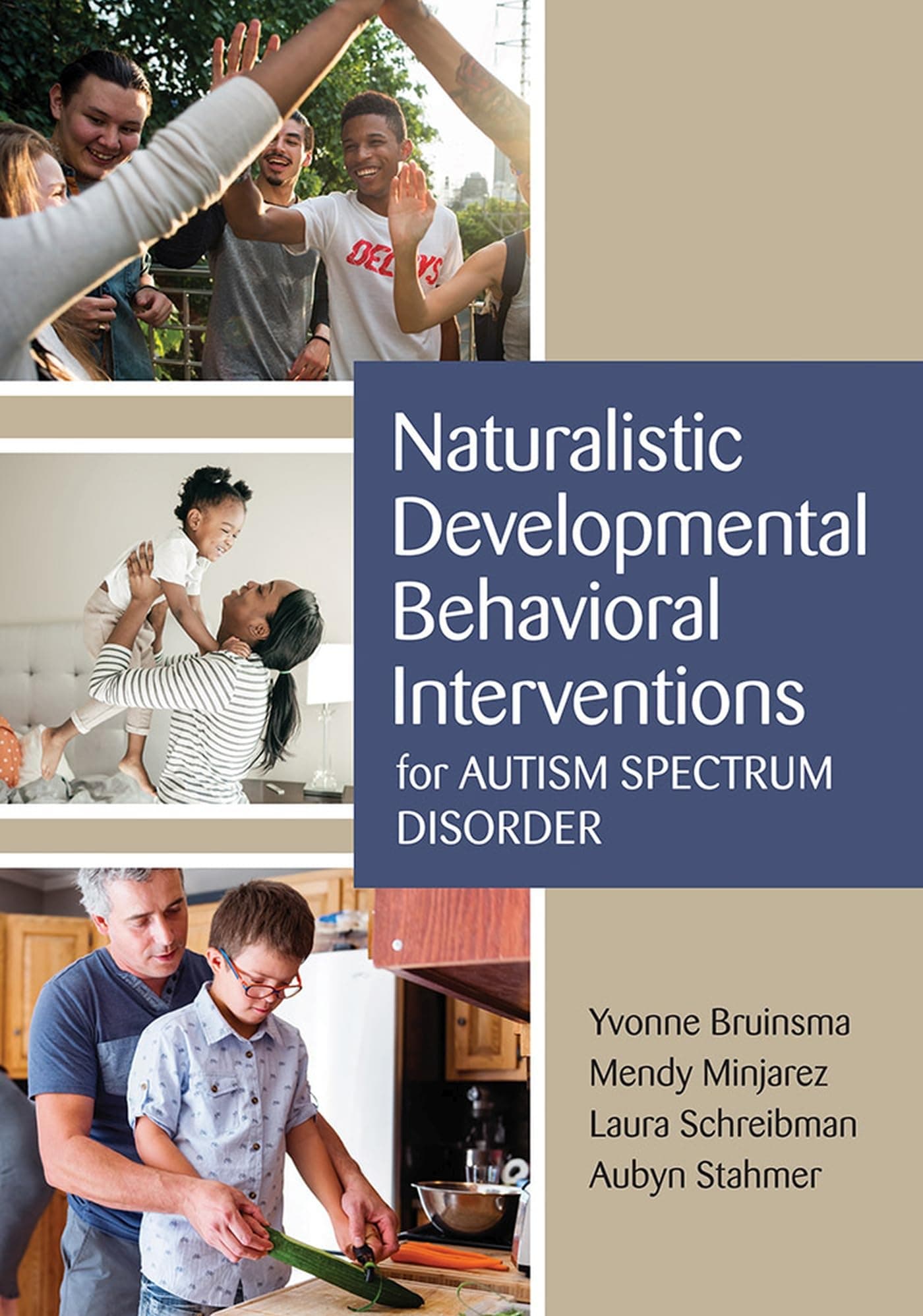 Naturalistic Developmental Behavioral Interventions for Autism Spectrum Disorder Paperback – Import, 30 August 2019