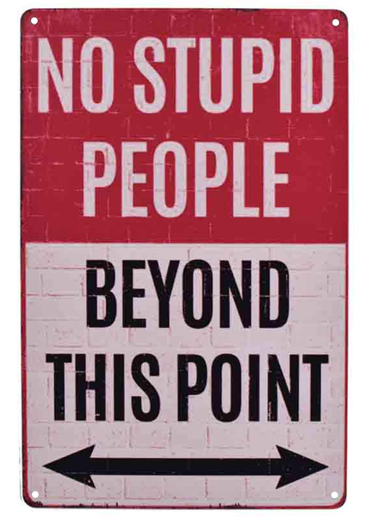 LASMINE Warning No Stupid People Beyond This Point Rustic Metal Tin Sign Wall Decor Art Vintage Metal Sign Garage Signs for Men Home Decor Tin Art Decor Metal Mouse pad 8X12 Inch