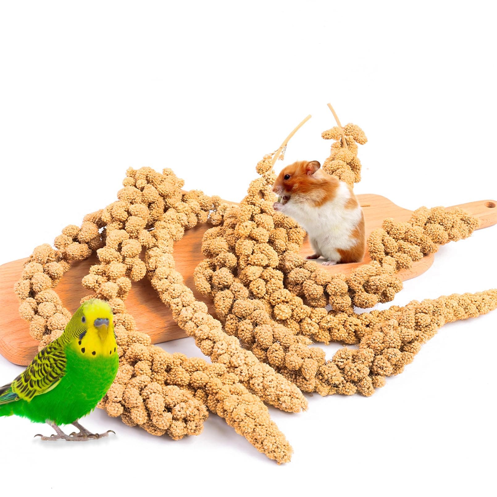 Fhiny Millet Spray for Birds, 1.1LB Natural Sun-Dried Millet for Birds Original Parakeet Food & Treats Spray for Parakeets Parrots Cockatiels Lovebirds Finches Budgies Hamsters