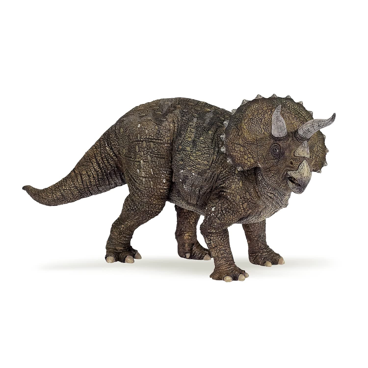 The Dinosaur Figure, Triceratops