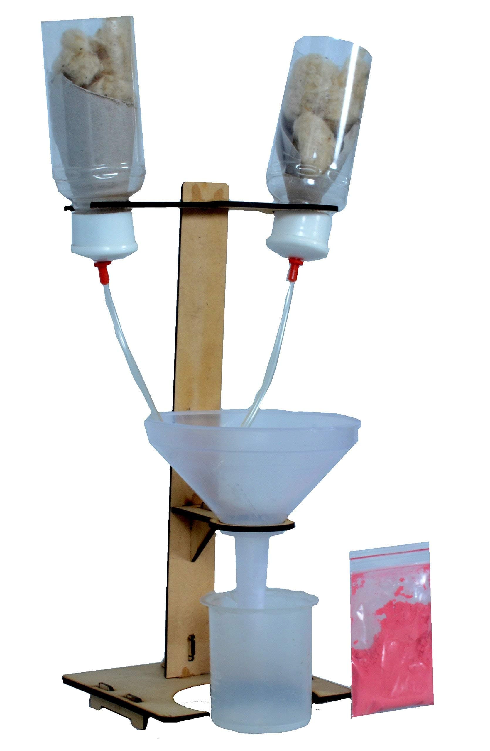 Kidney Working Model, (Multicolour)