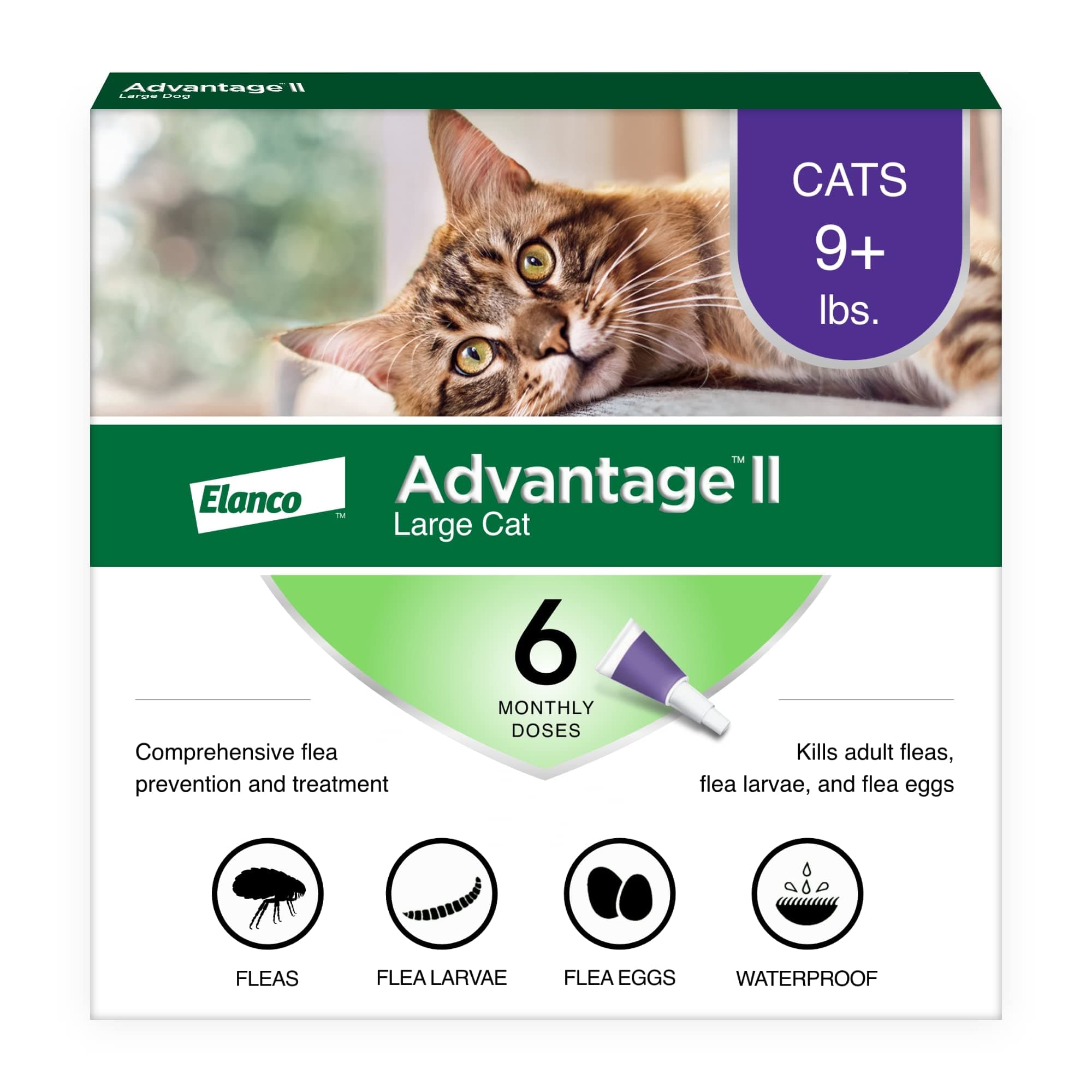 Flea Prevention for Cats Over 9 lbs, 6 Pack, Advantage II
