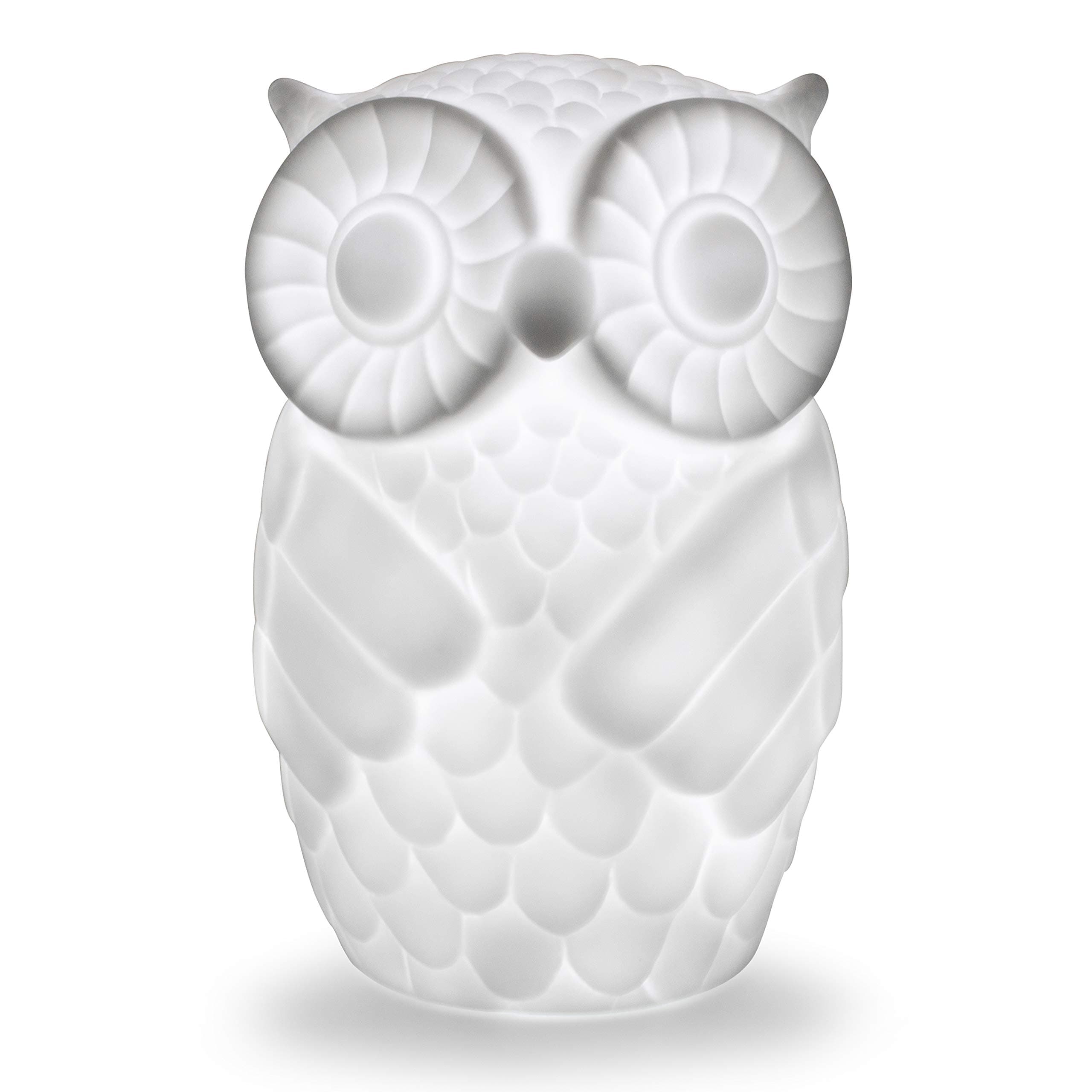 Kids Owl Night Light Lamp, Battery Powered Table Bedside Decorative Light with 1 Hour Timer for Bedroom, Nursery, Living Room (Cool White, Small Eyebrows)