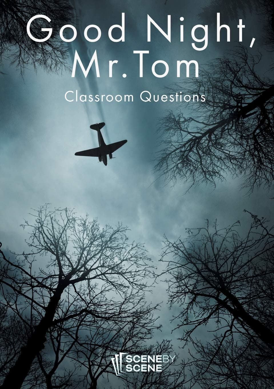 Good night, Mr. Tom Classroom Questions