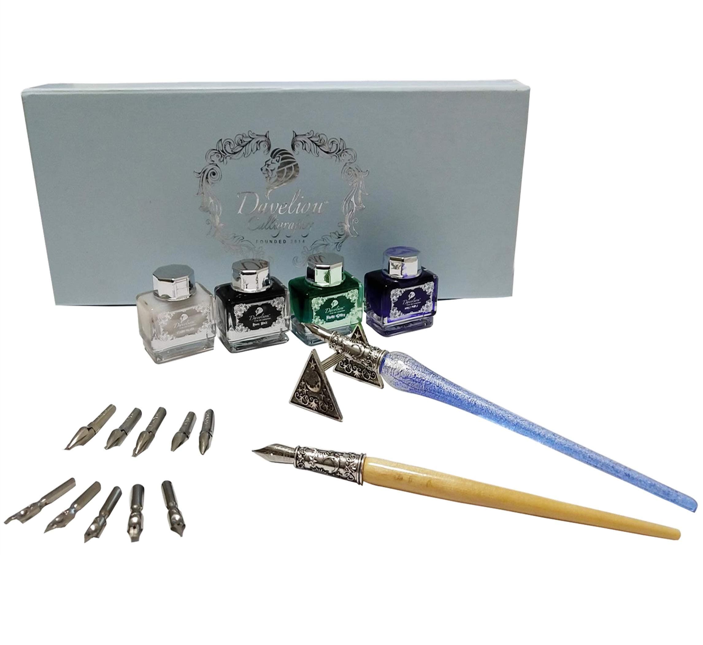 DAVELIOU Complete 19 Piece Wizard Calligraphy Set for Beginners & Professionals, Includes Pens, Inks, Nibs, & Case (Blue & Silver)