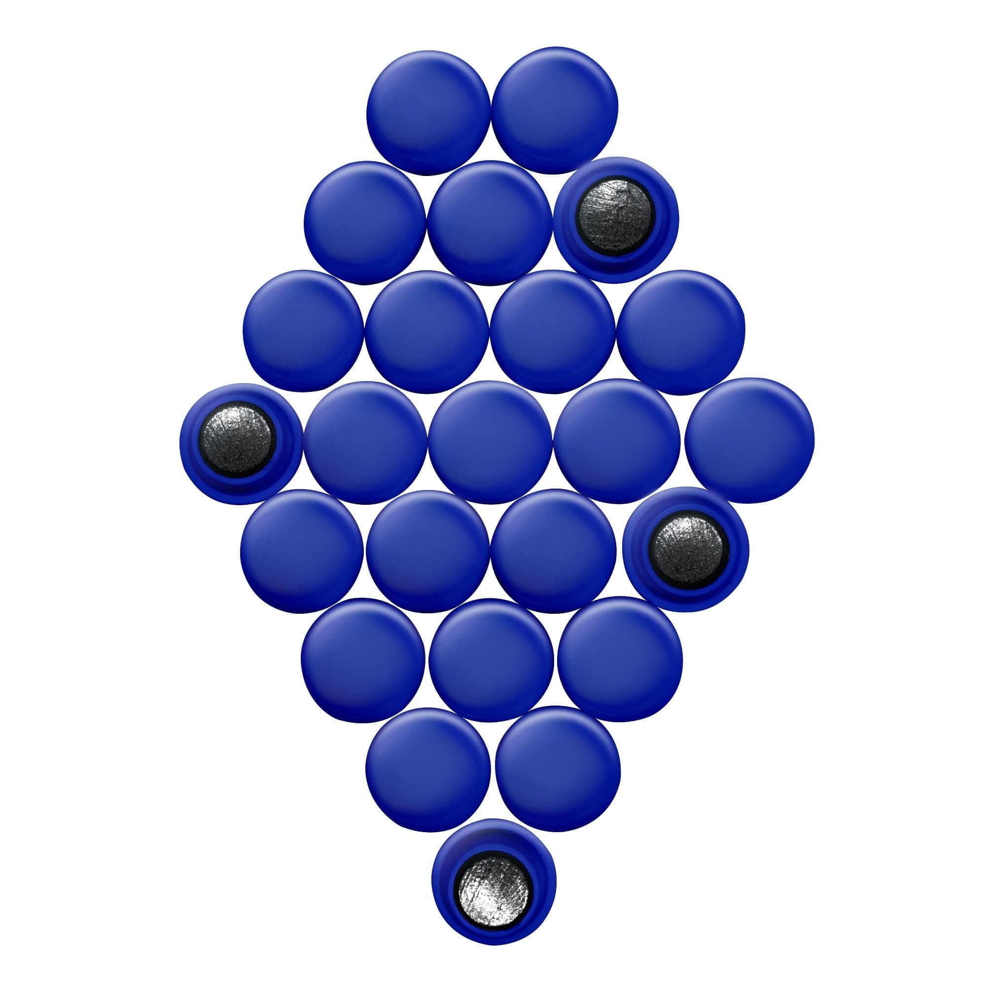 Small Planning & Notice Board Magnets - Assorted (1 Pack of 24) (Pack of 1)