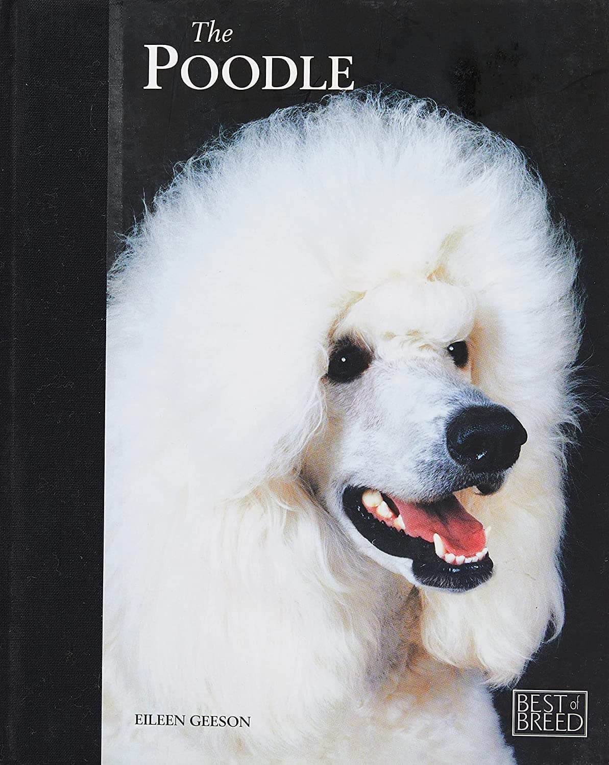 Poodle - Best of Breed