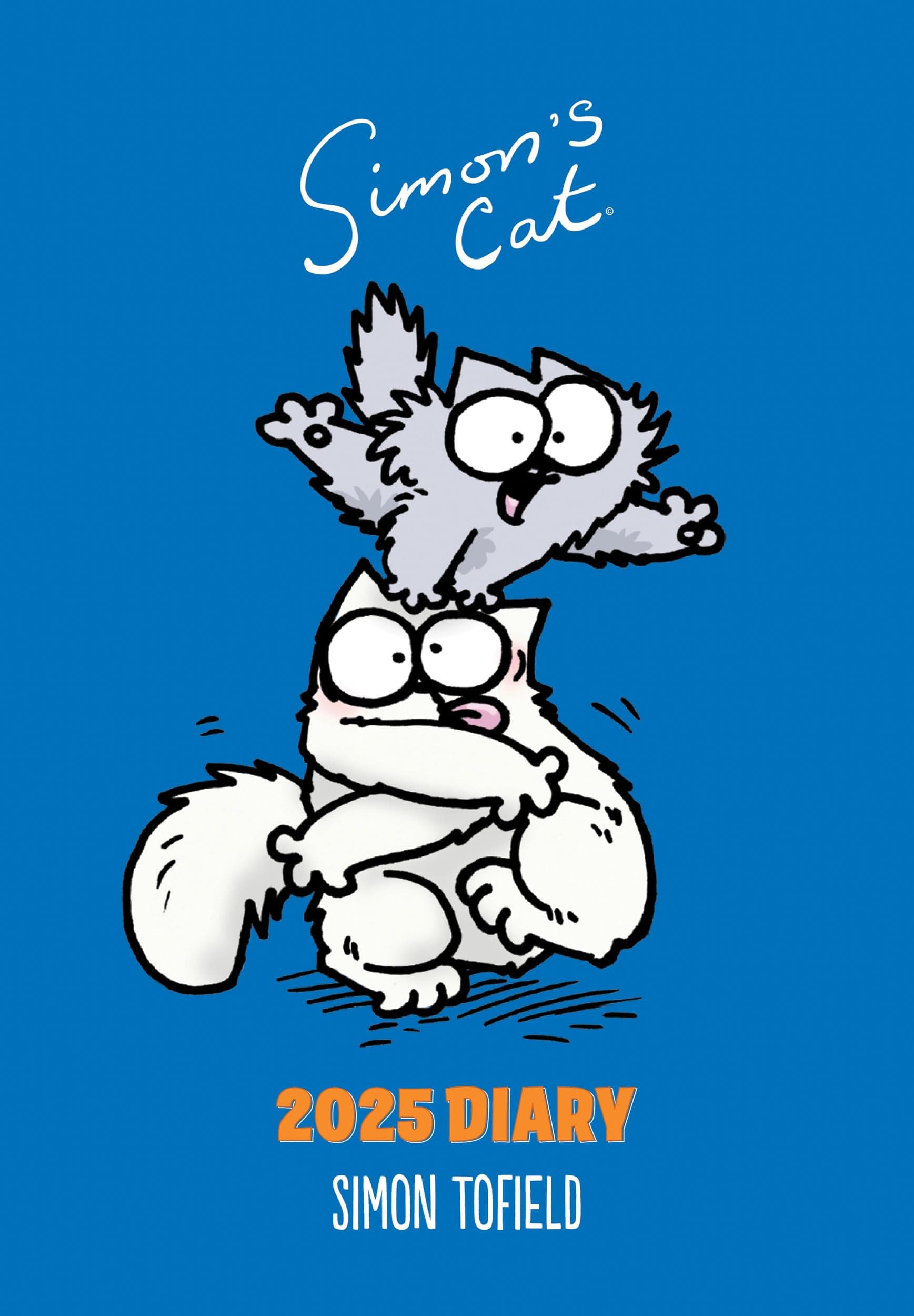 Portico Designs Ltd2025 Simon's Cat A5 Wiro Diary