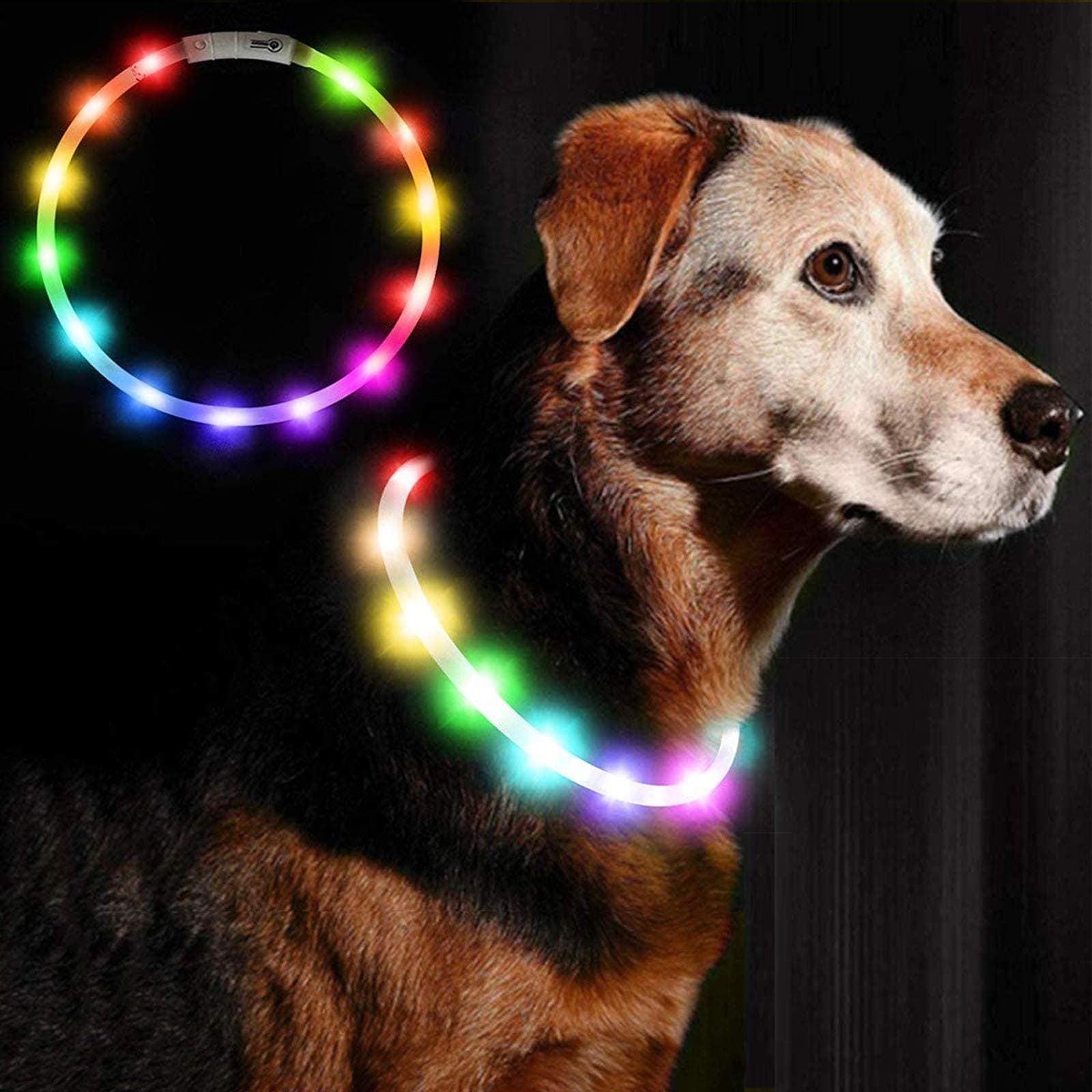 LED Dog Collar, USB Rechargeable, 2 Light Modes, Adjustable Size, Improves Pet Visibility & Safety, Fits Small to Large Dogs & Cats (Multicolor)
