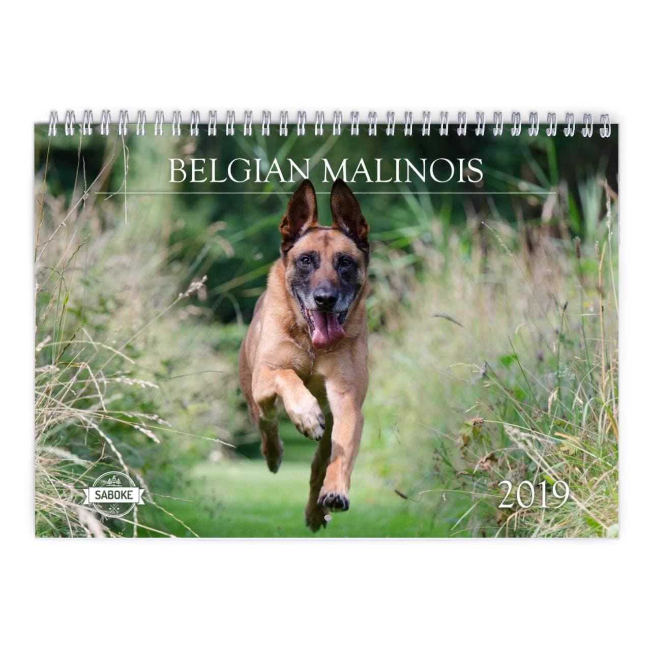 Belgian Malinois 2019 Calendar