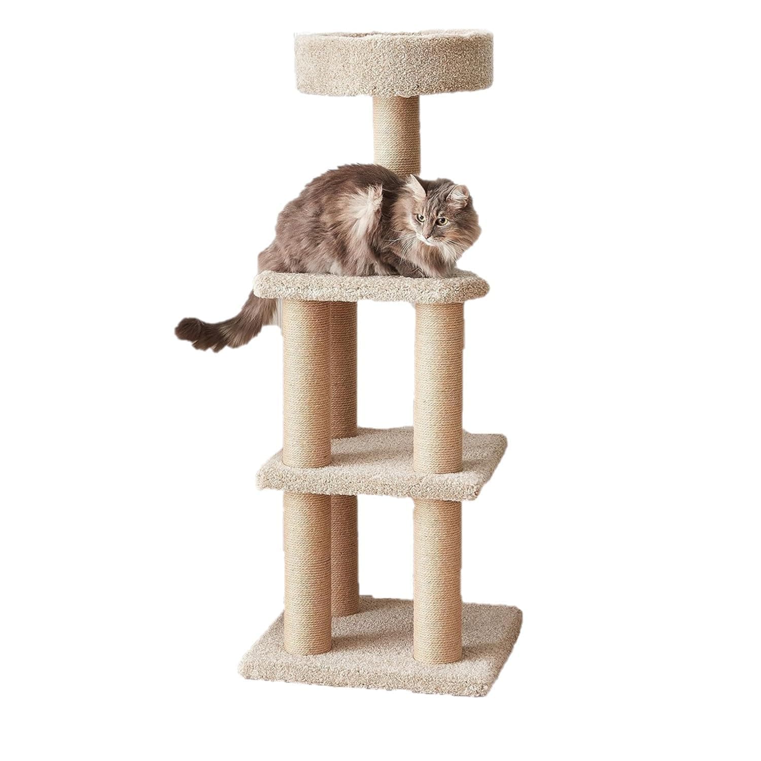 - Amazon Basics Cat Tree Tower - Multi-Level Climbing Activity Center for Indoor Cats & Kittens with Scratching Posts, Platform, Jute Rope, Large (45.9"H), Beige