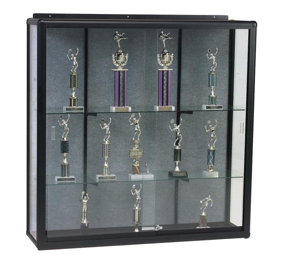 Series 90 Elite Wall Mount Display Case Finish: Black, Size: 48" H x 60" W