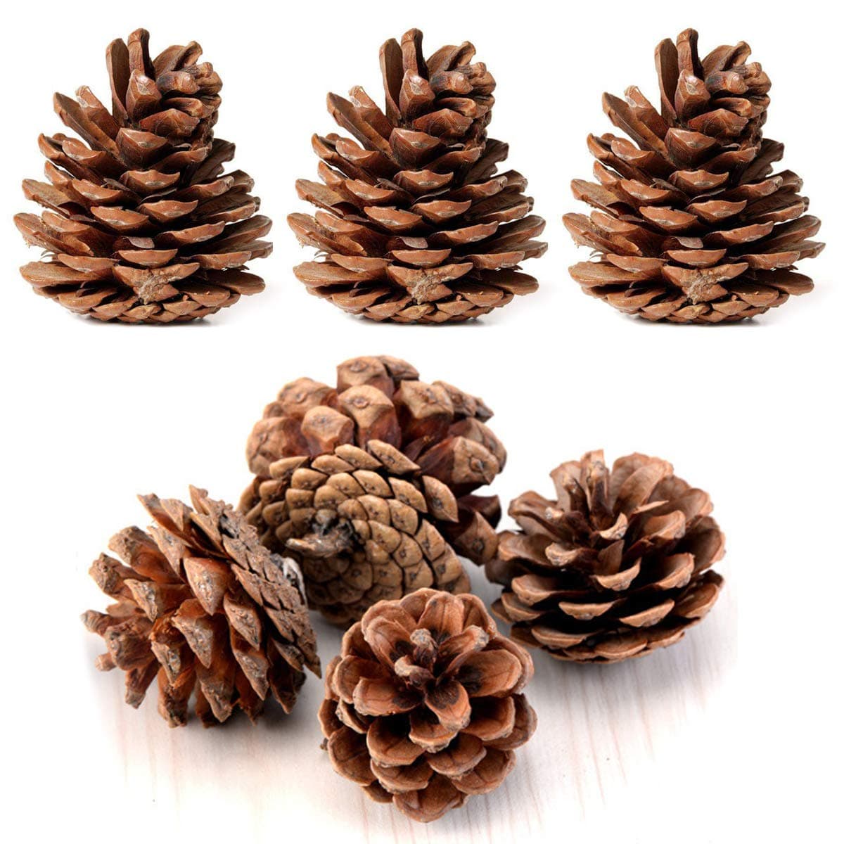 Yexpress Bulk Package of Natural Pinecones-24 Pack