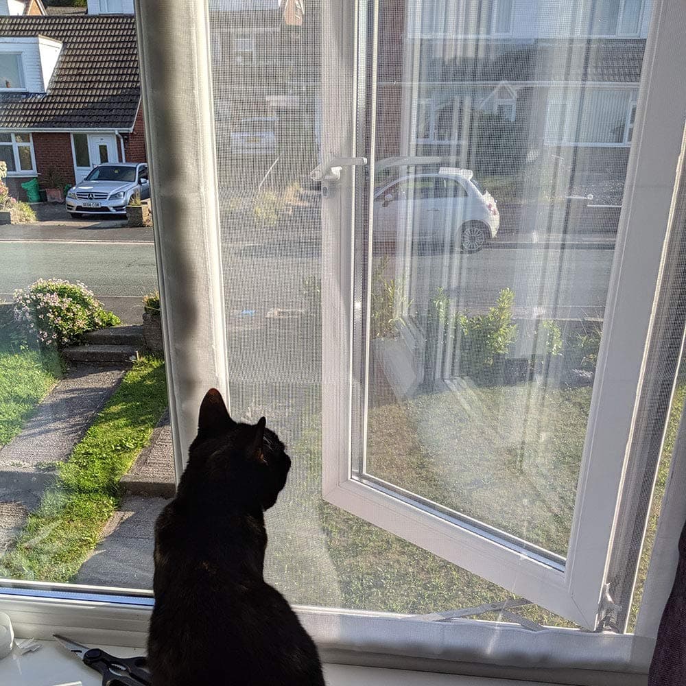 Flat Cats Cat Window Screens, Window protection for Cats, PVC Coated Hook and Loop screen, keep indoor cats safe, Single Pack - Selection of sizes (60cm x 100cm, White Mesh/White Fixings)