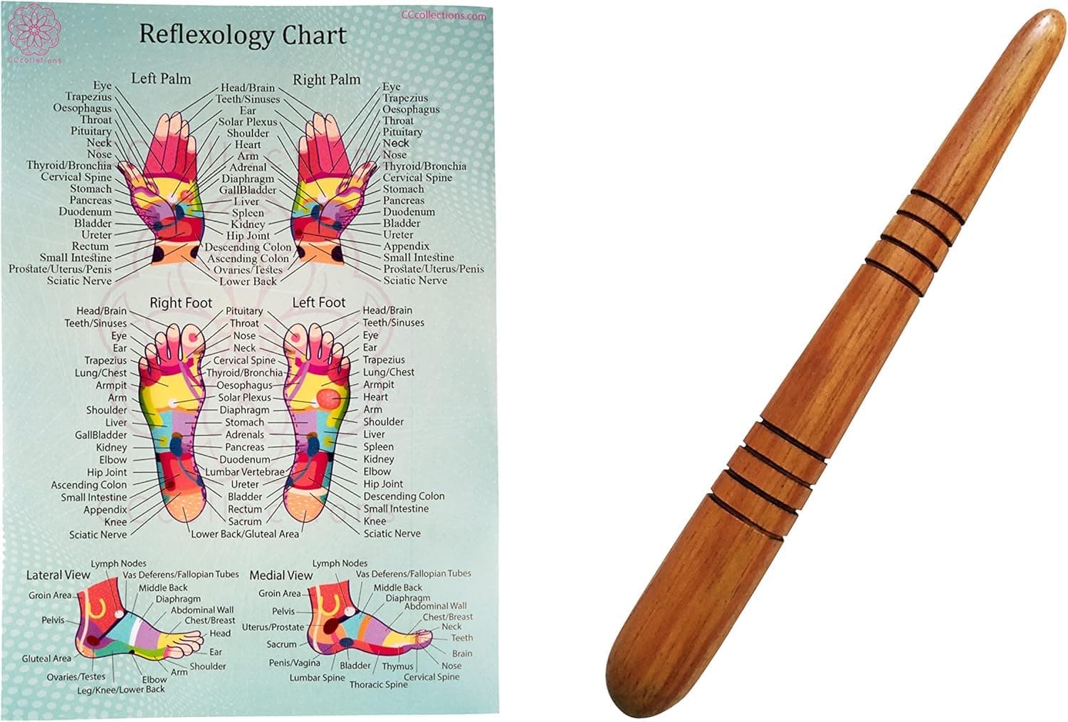 CCcollections Massage Toolsets With Chart For Professionals Foot Hand Massage Wooden Stick Reflexology (English, Single Stick + Chart)
