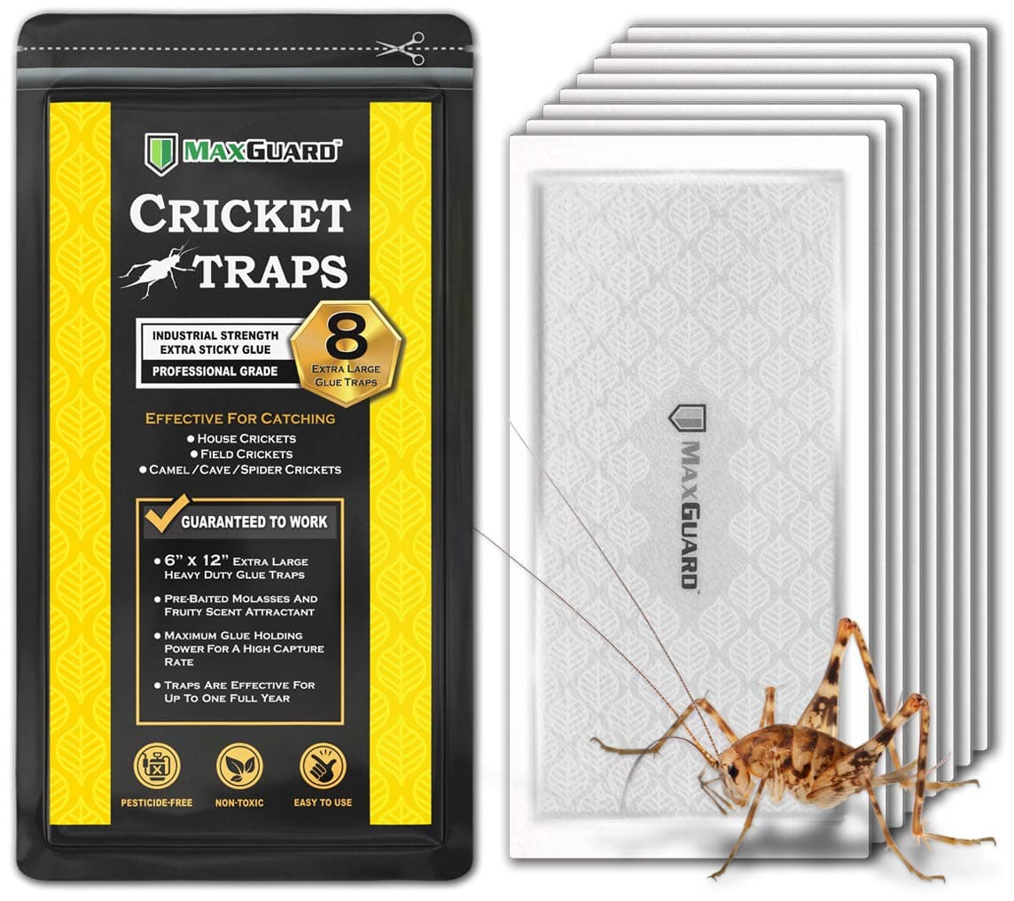 Extra Large Cricket Traps (8 Traps) | Non-Toxic Extra Sticky Glue Board Pre-Baited Cricket Attractant | Trap & Kill House Crickets, Insects, Spiders, Bugs |