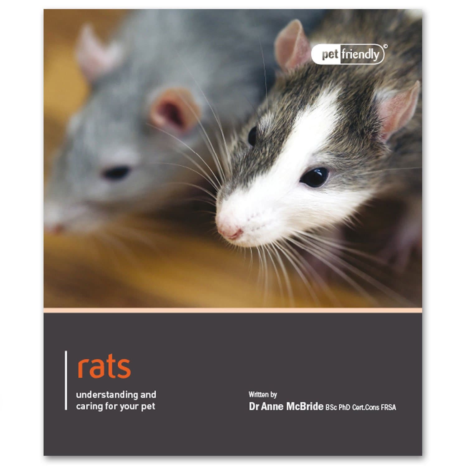 Rats - Pet Friendly: understanding and caring for your pet