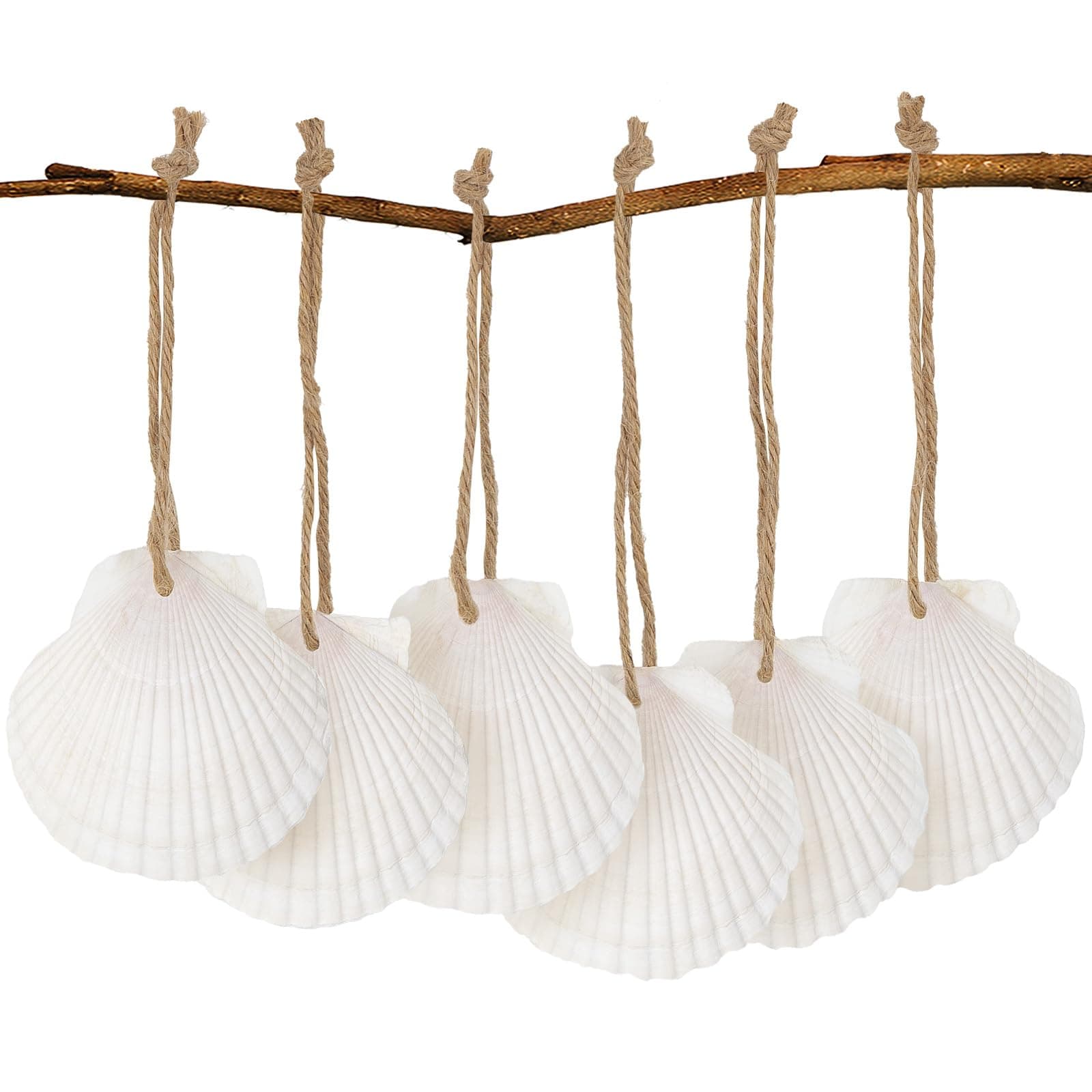 16PCS Natural Sea Shells 2.5"-3.5" Perforation Scallop Shells with Rope,for Christmas Tree Ornaments & DIY Hanging Home Deocration Craft Shells