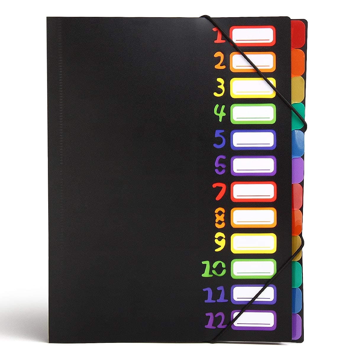 12 Pocket Expanding File Folder,Multi Pocket File Folders/A4 Letter Size File Organizer/Student Papers Folder Expanding Project Sorter (12 Pocket-Black)