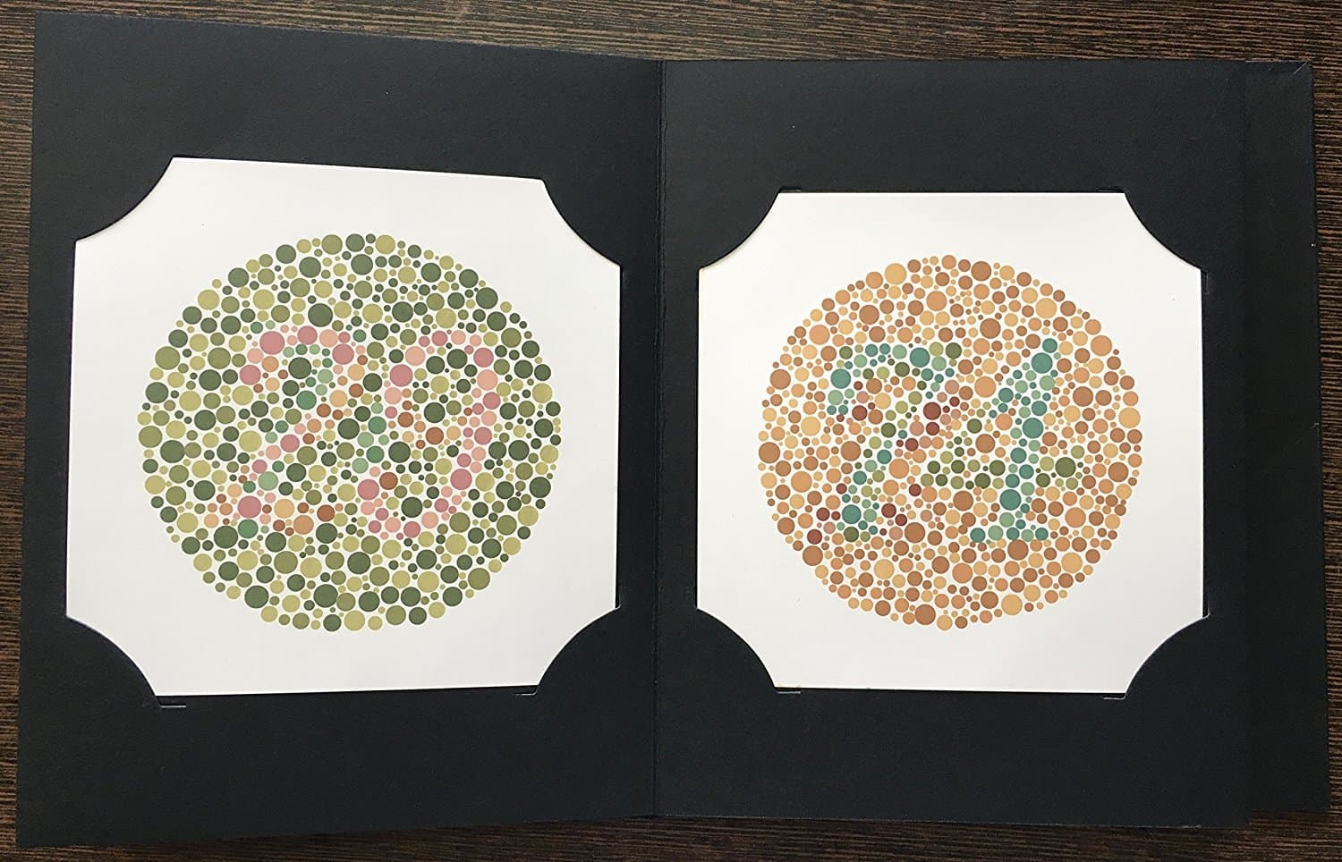 Ishihara's Tests for Colour Deficiency 14 Plates Concise Edition 2016