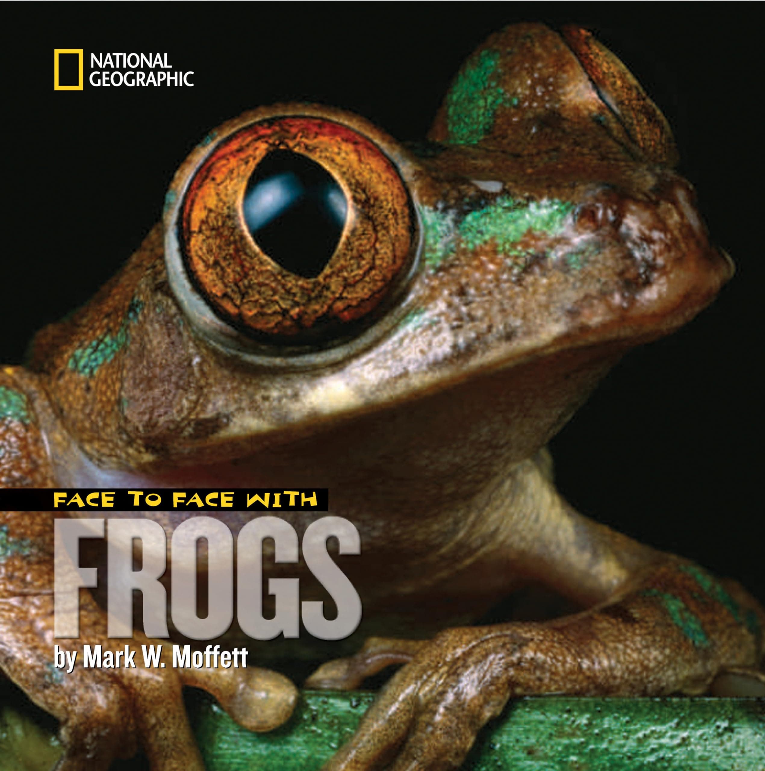 FACE TO FACE WITH FROGS