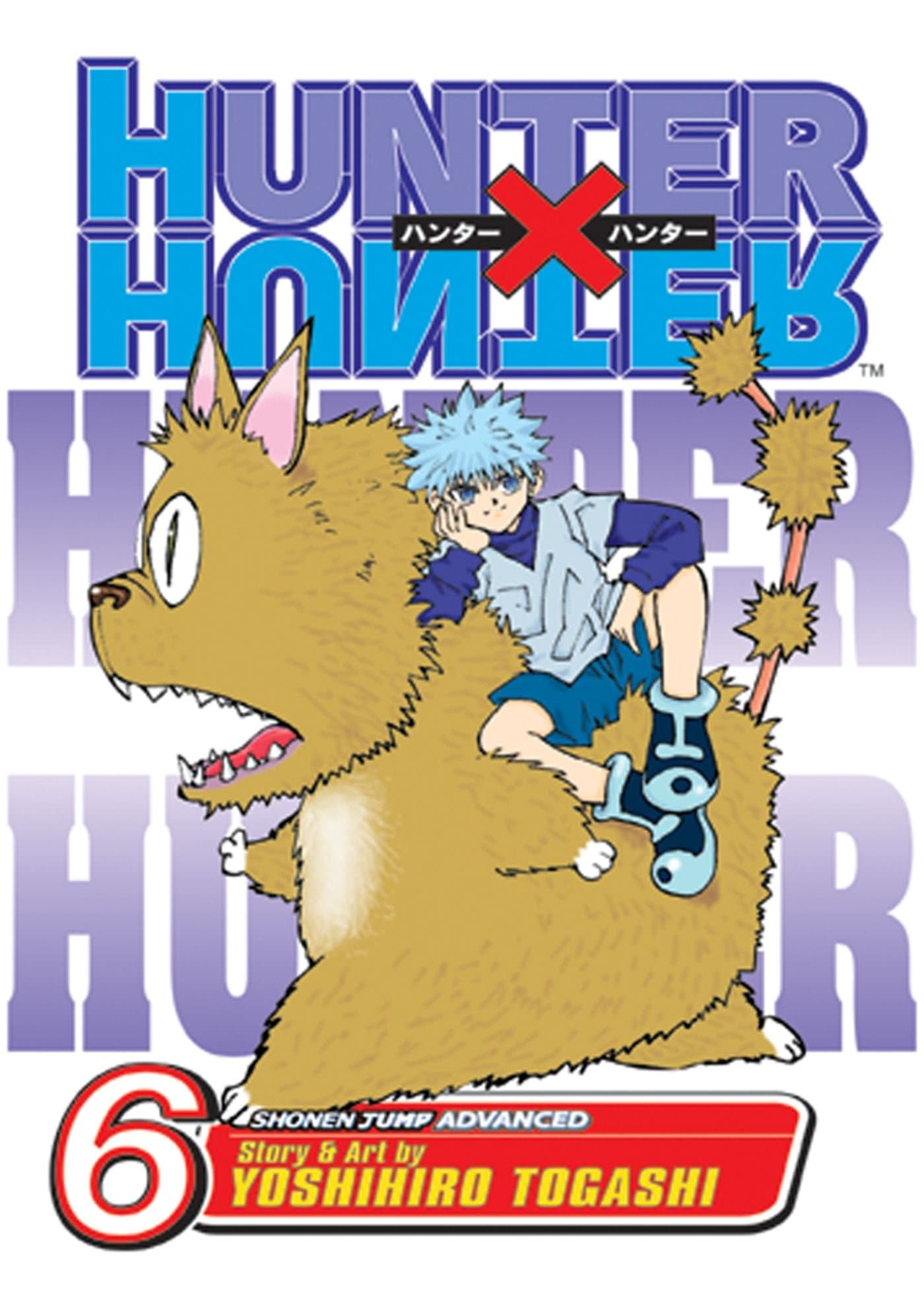 Hunter x Hunter, Vol. 6: NEN SENSE: Volume 6