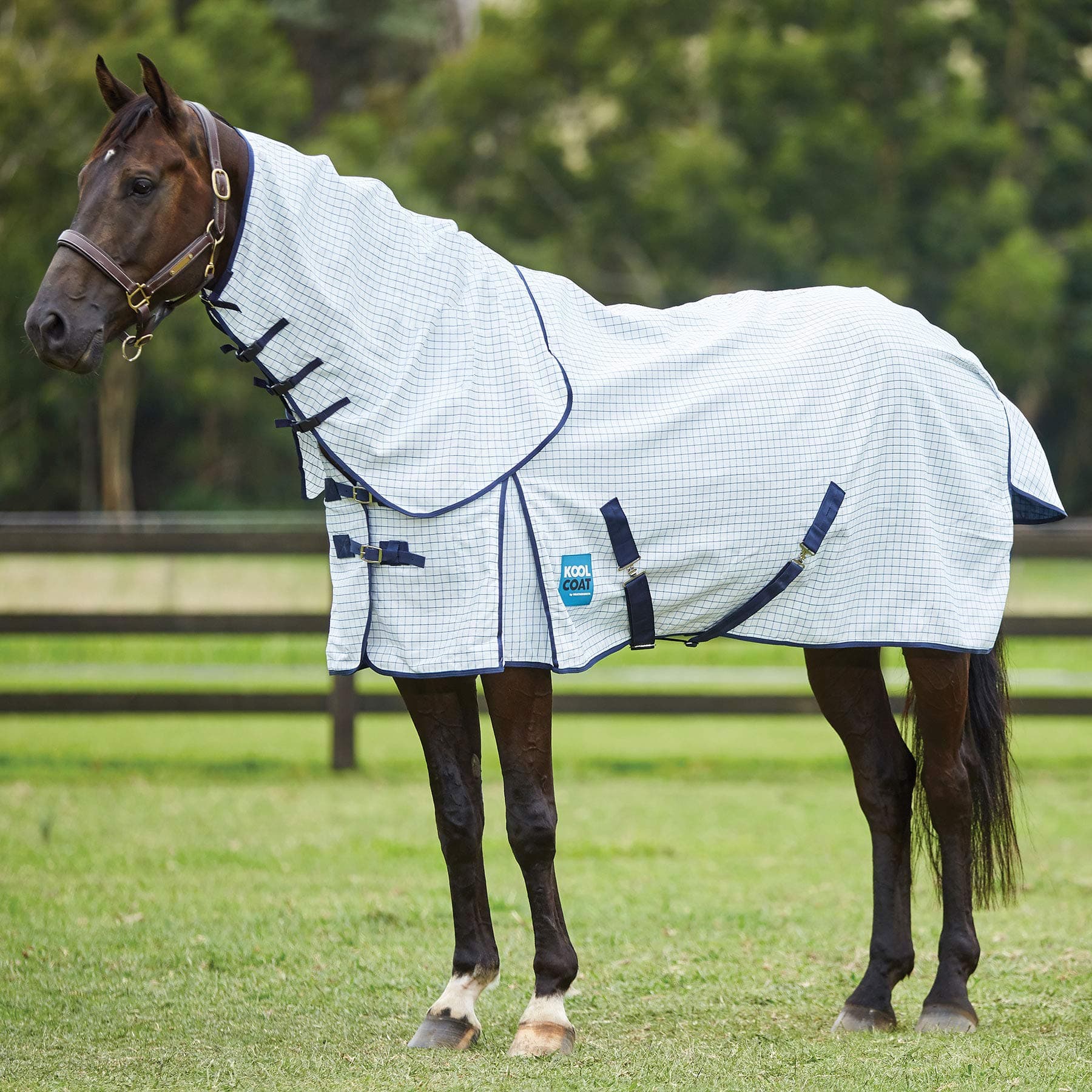 Classic With Surcingles III Combo Neck - White/Navy Blue 6ft0