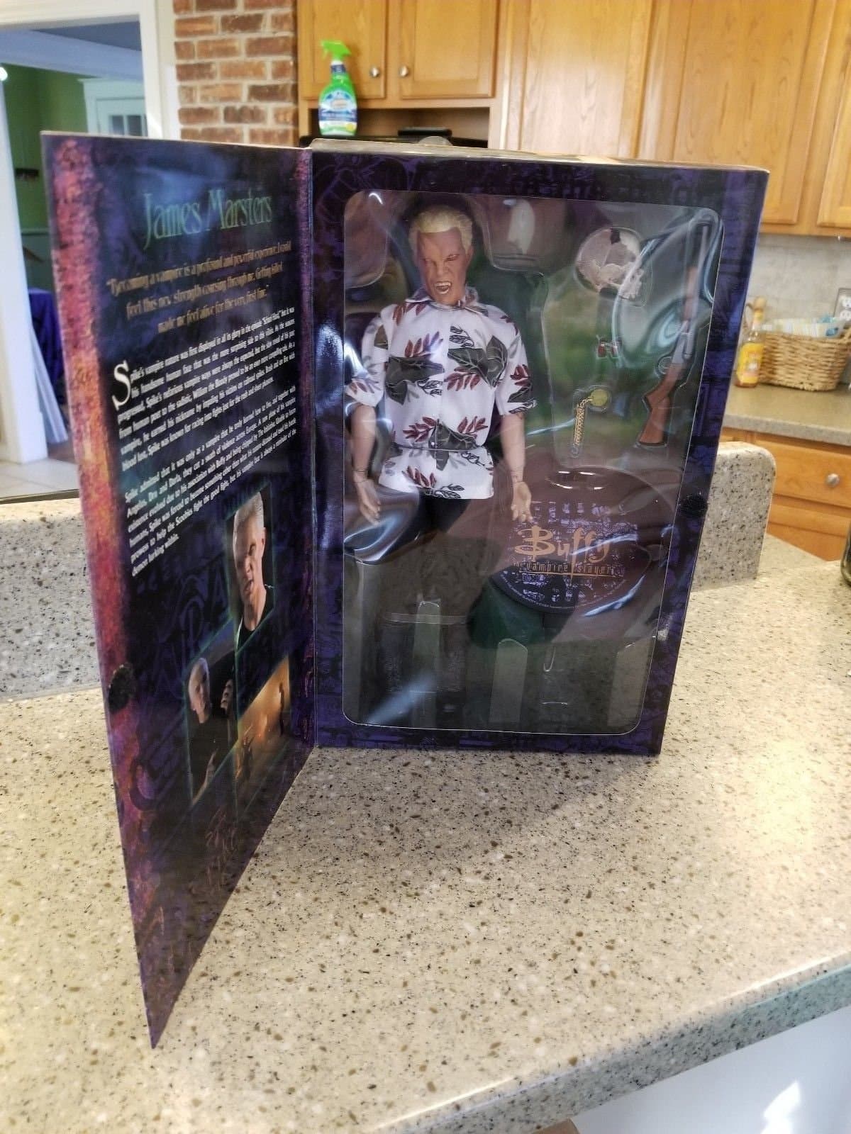 James Marsters as Vampire Spike BTVS