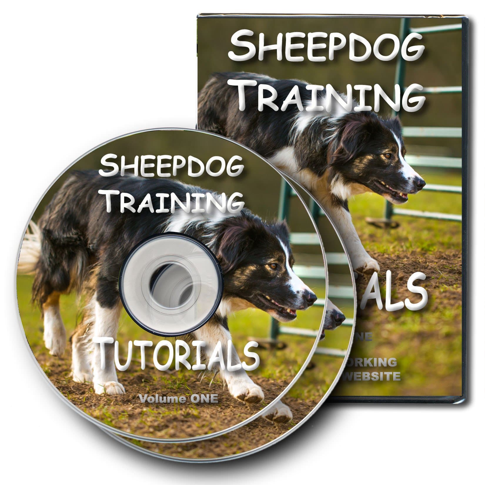 Sheepdog Training Tutorials Volume 1 [DVD]