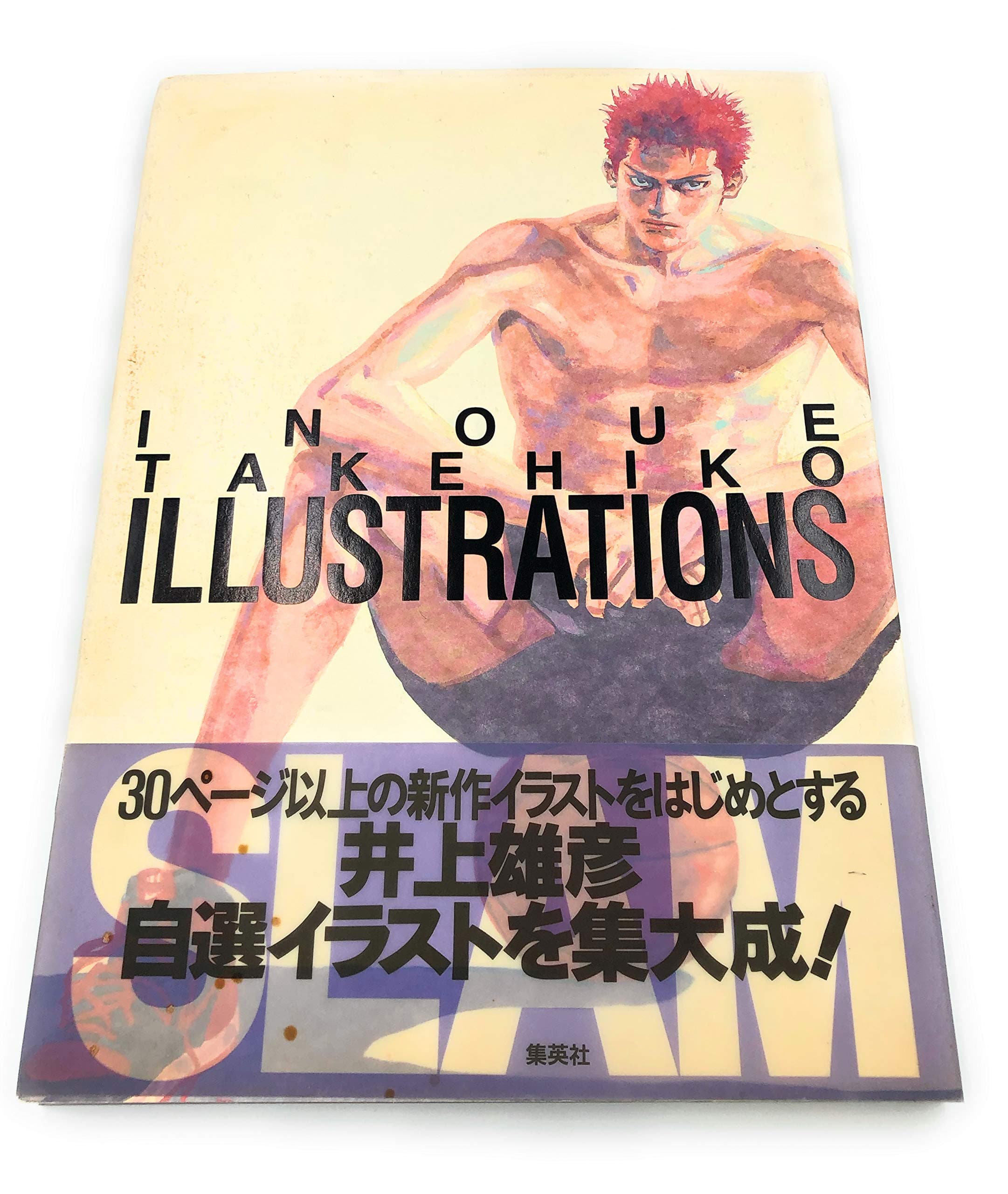 Inoue Takehiko Illustrations