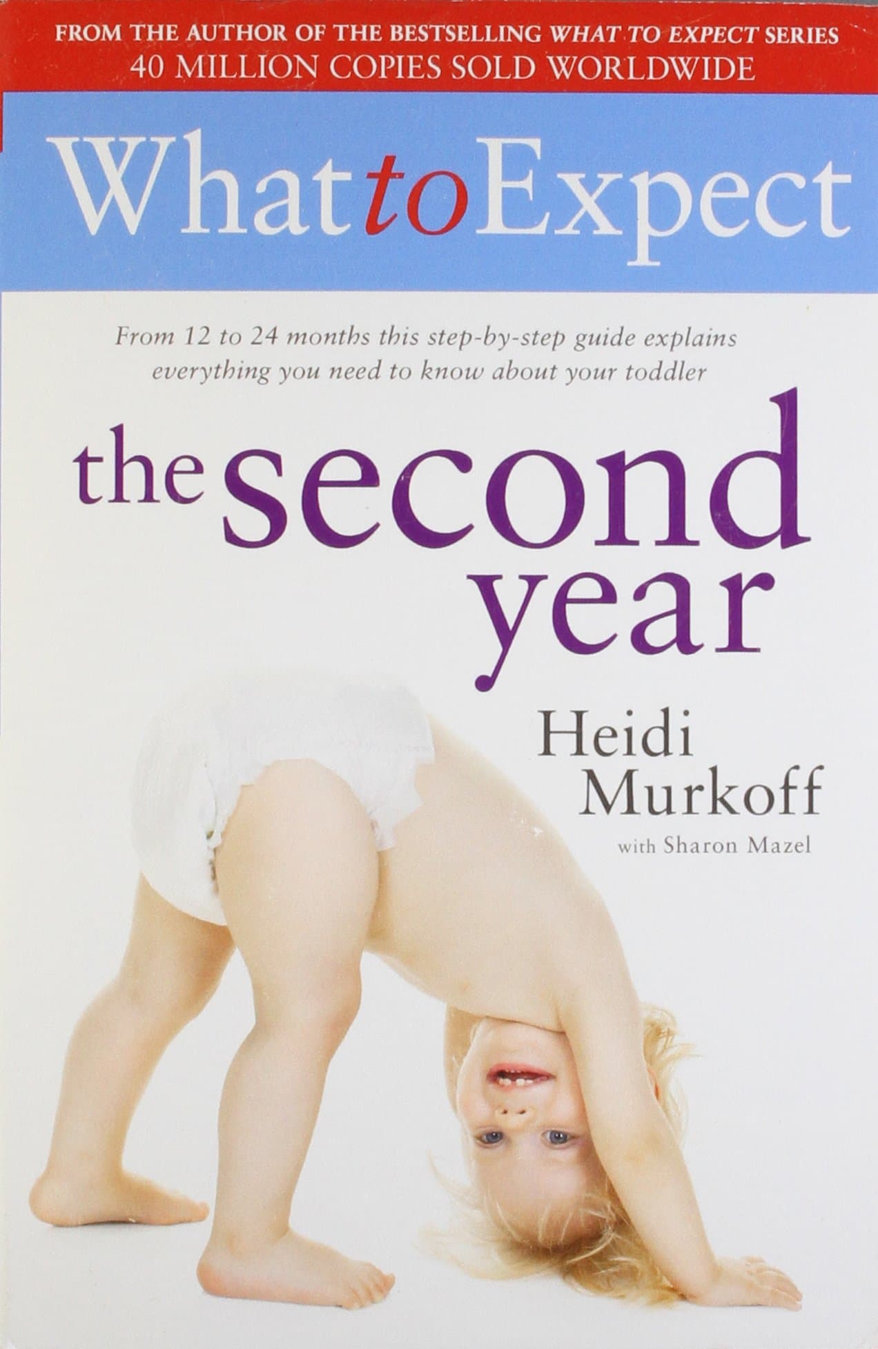 Simon & Schuster What to Expect: The Second Year