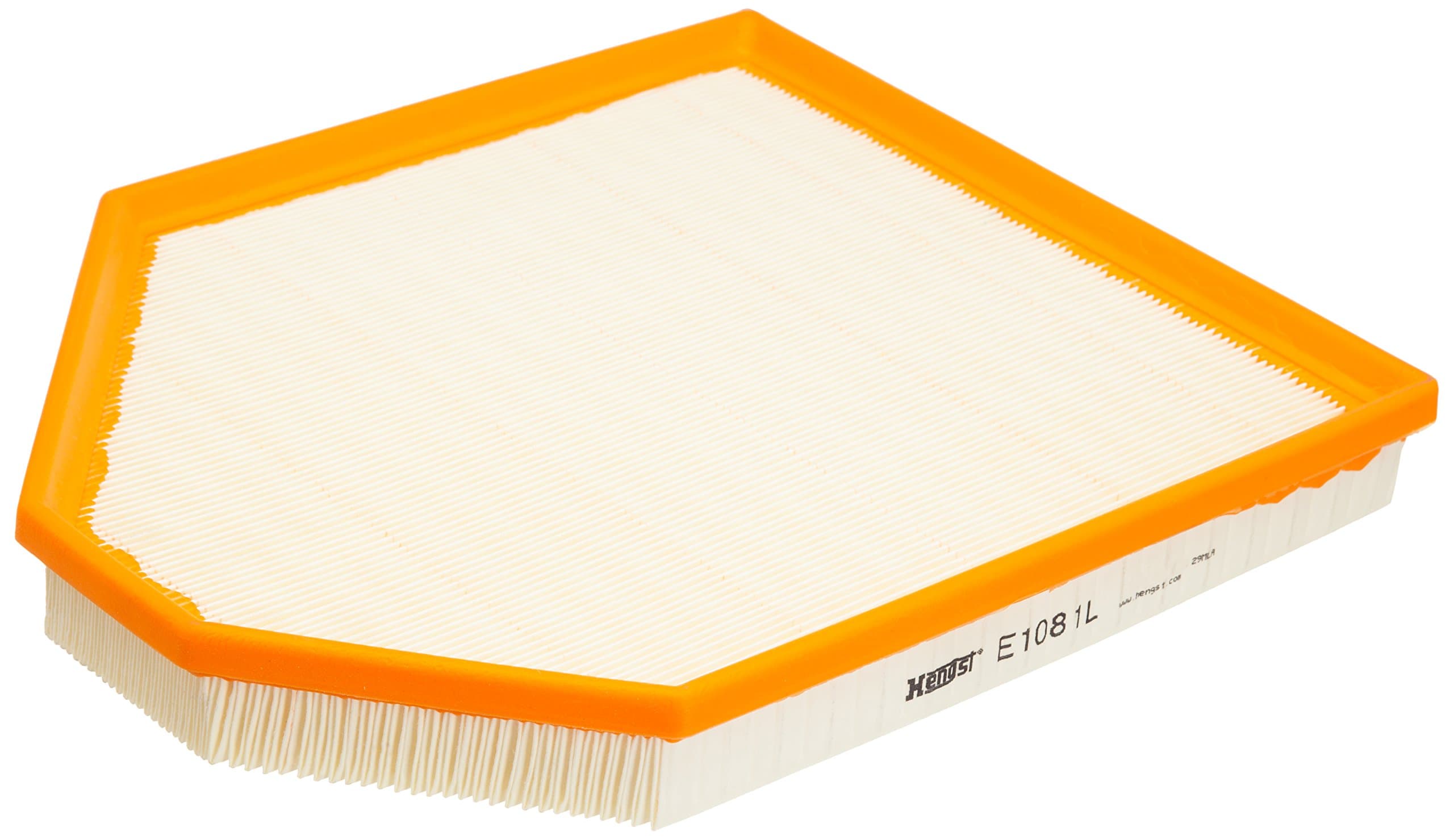 Hengst 13717601868 Air Filter