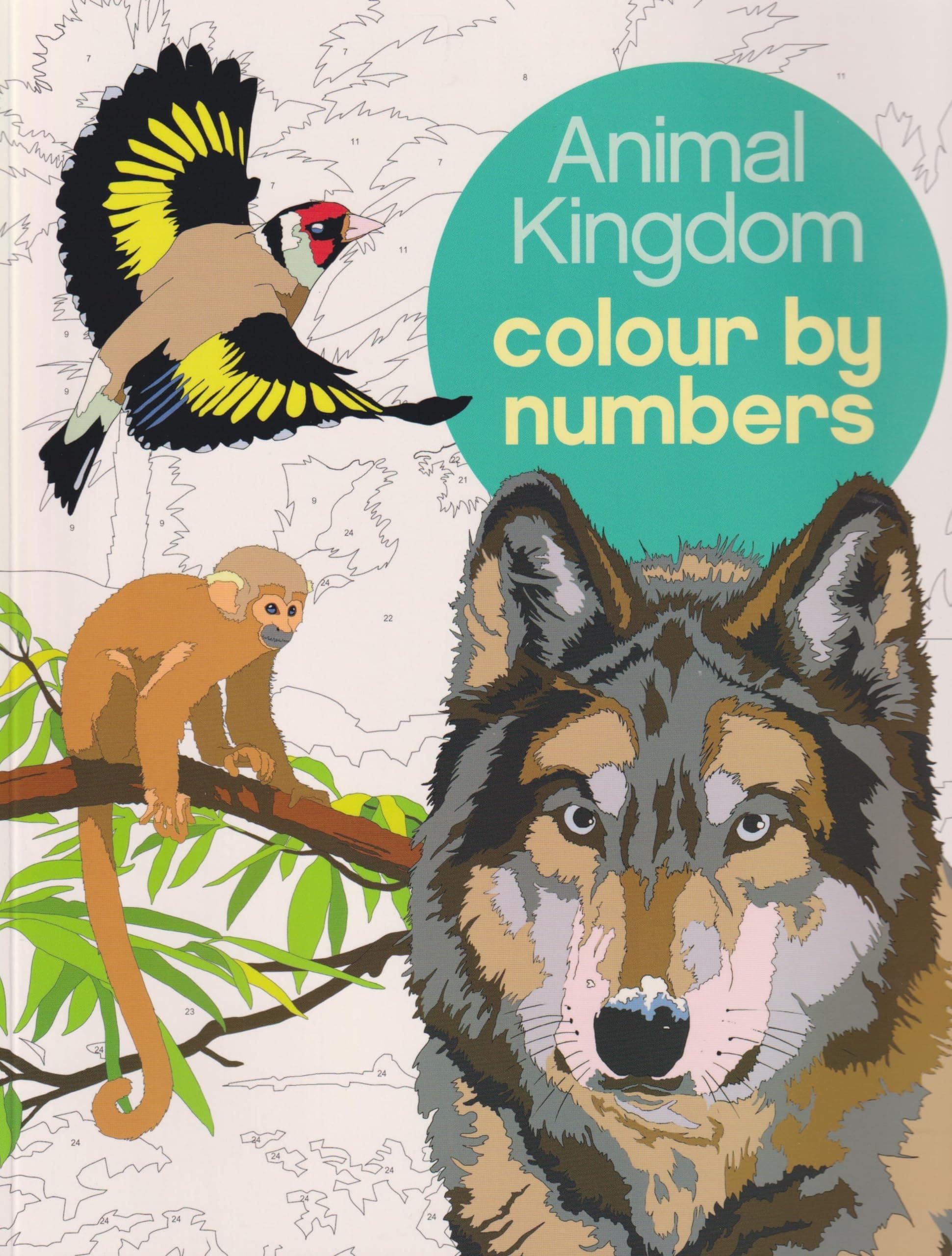 Animal kingdom colour by numbers