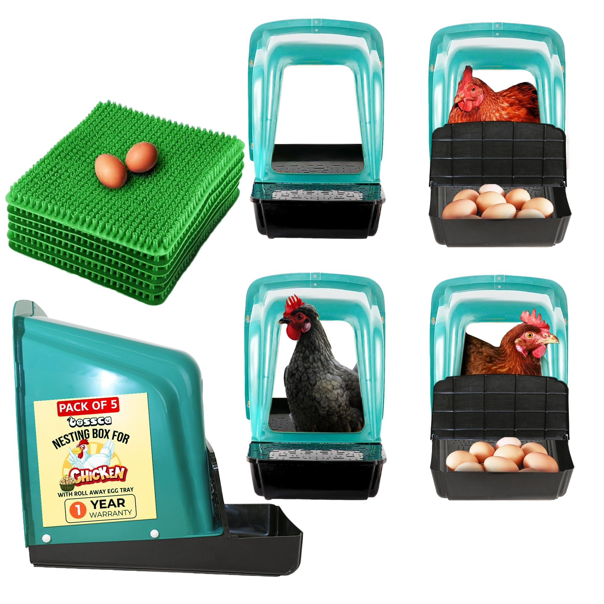 Nesting Boxes for Chicken Coops | Roll Away Hen House for Laying Eggs | Durable Plastic Chick Brooder Box with Perch & Pull Out Egg Tray for Poultry Farm | Chicken Coop Accessories (Pack of 5)