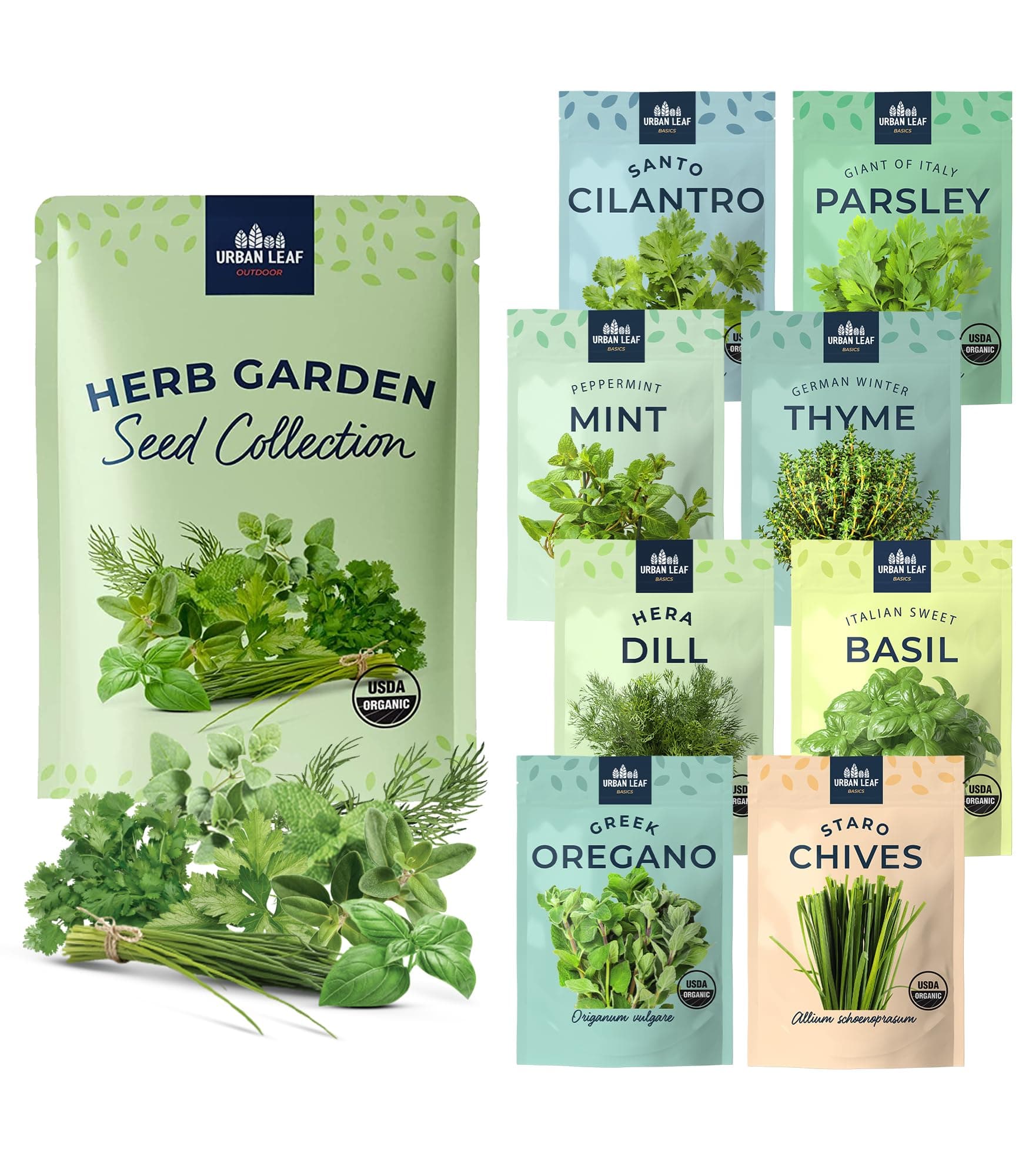 Herb Seed Collection