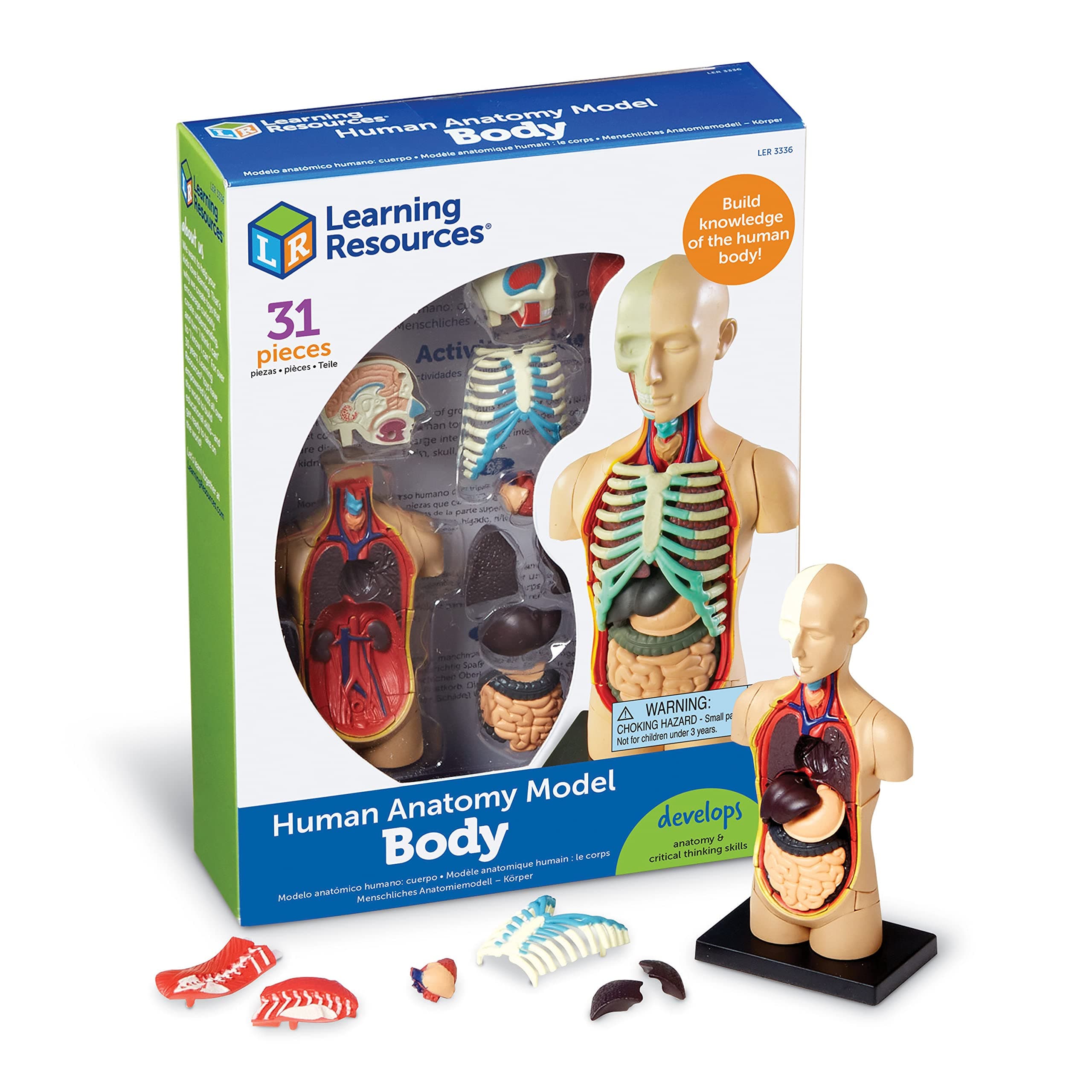 Learning Resources Human Body Model, Science Classroom Demonstration Tools, Realistic Human Anatomy Display, 31 Pieces, Grades 3+, Ages 8+