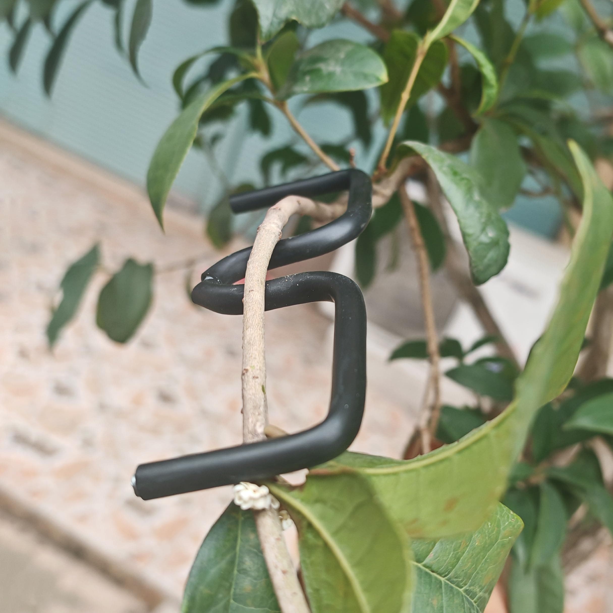 5.1 Inch Fruit Tree Limb Spreader 20pcs New Fruit Branch Spreader with Plastic Hose Wrapped Iron Wire, Branch Puller Tool for Opening Tree Angles Tree Limb Training Tool Bonsai Modeling Tool (M5.1)