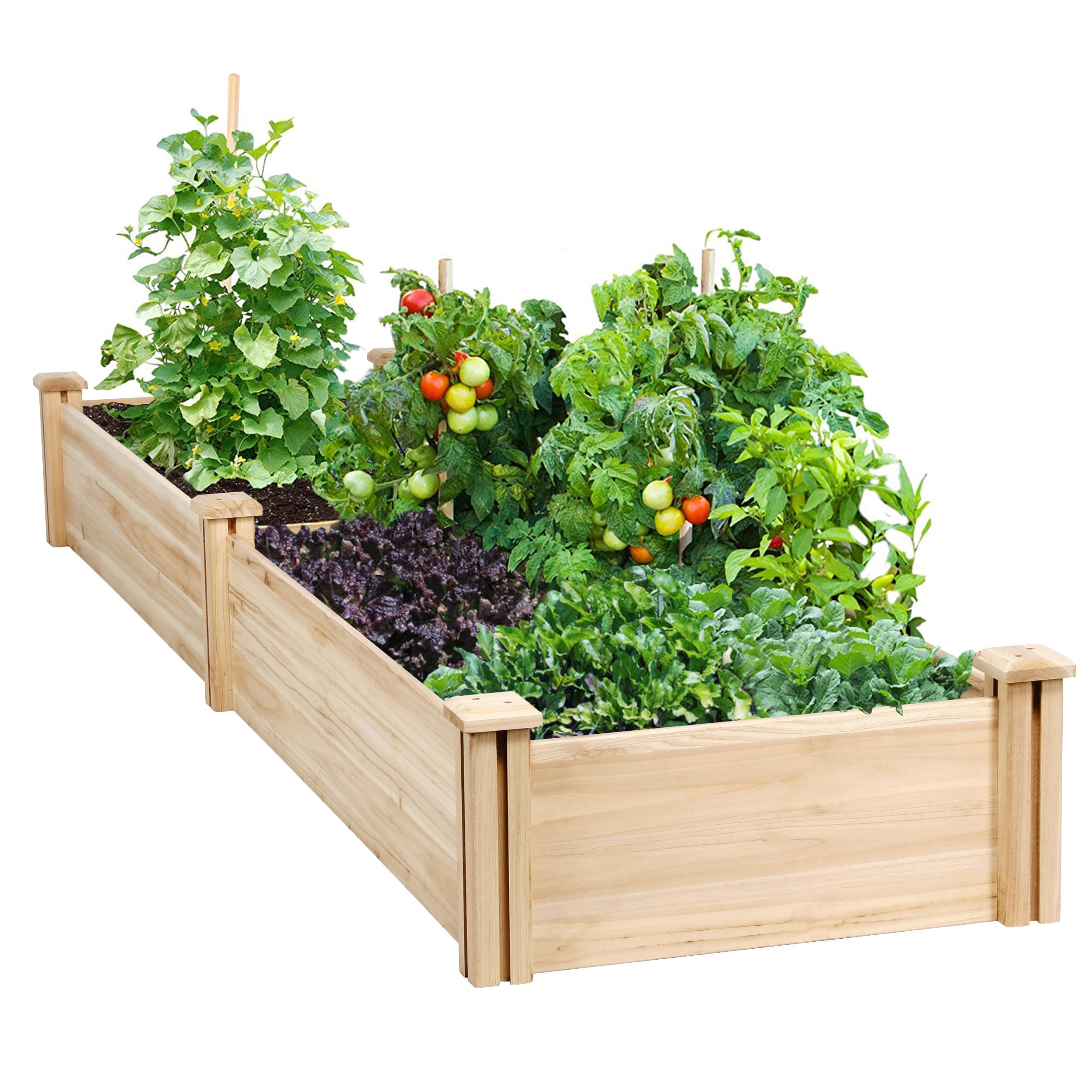 Divisible Elevated Planter Box