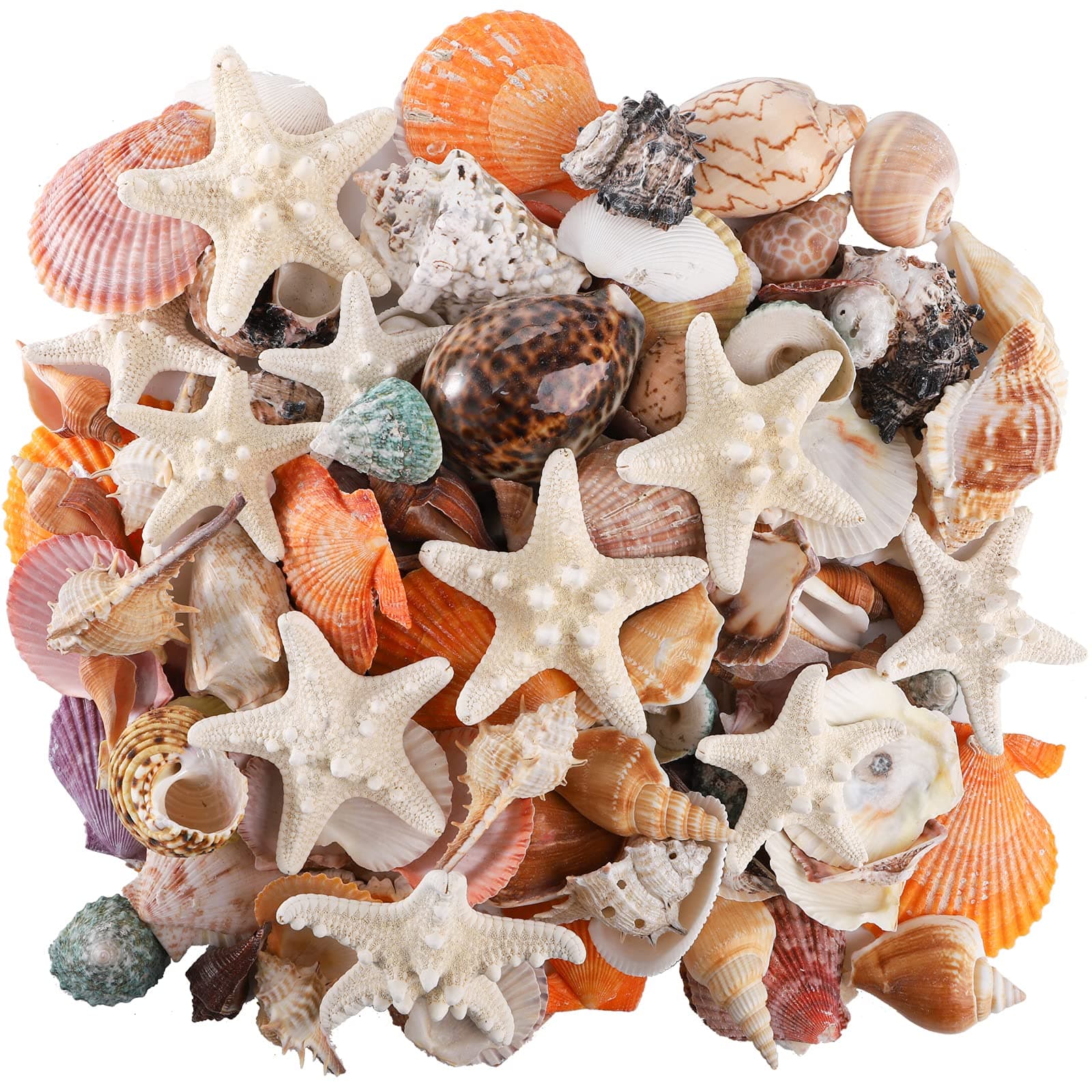 Okllen 2.2 Pounds Mixed Beach Seashells Starfish, Artificial Large Conch Shells Starfish Colorful Sea Shells for Beach Theme Party, Fish Tank, DIY Crafts, Wedding Decor, Home Decorations