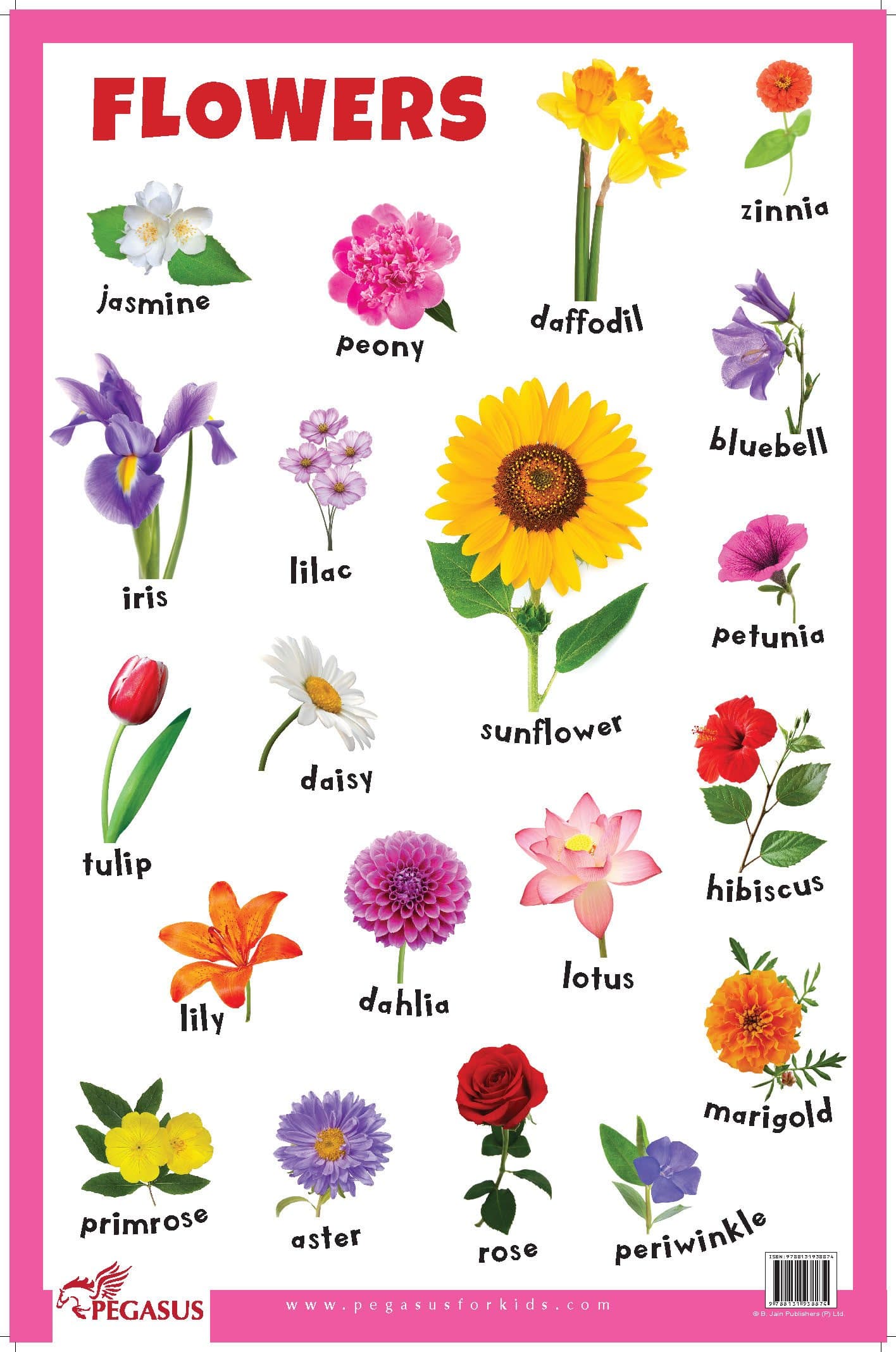 Flowers - Thick Laminated Primary Chart