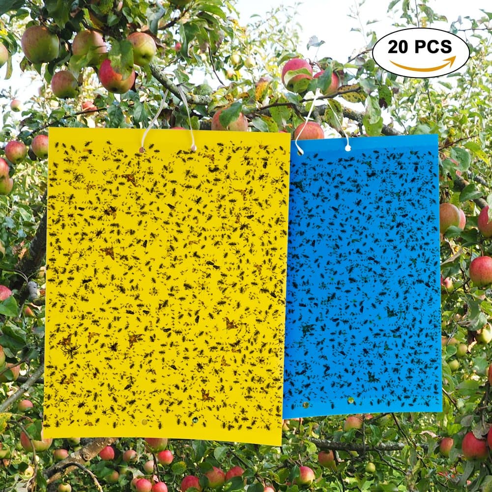 Sticky Traps, 20PCS Fly Trap Sticky with Double Side and Non Toxic Fly Sticker, Best Sticky Fly Insect for White Files,Aphids,Leaf Miner,Fungus Gnats.