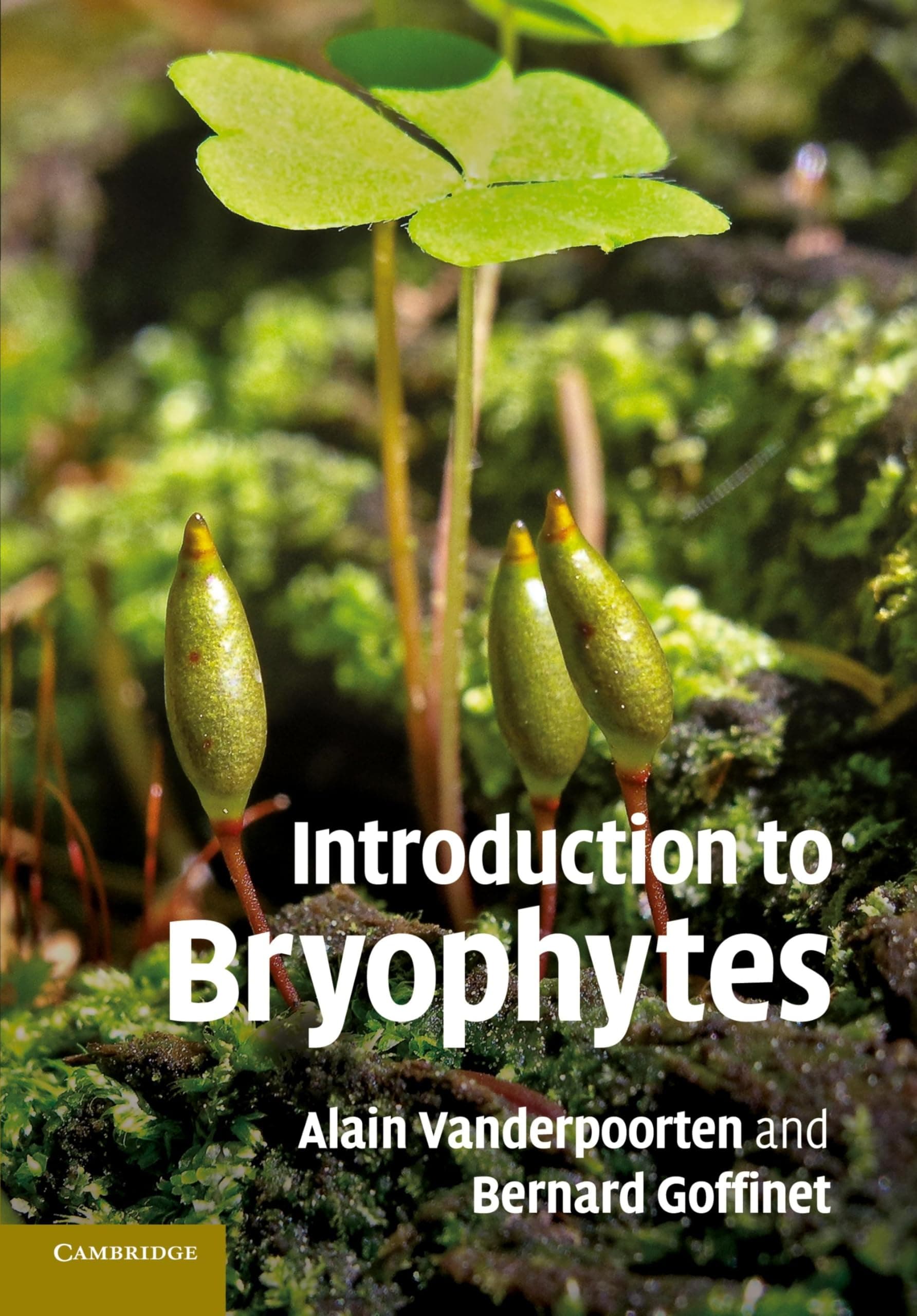 Introduction to Bryophytes