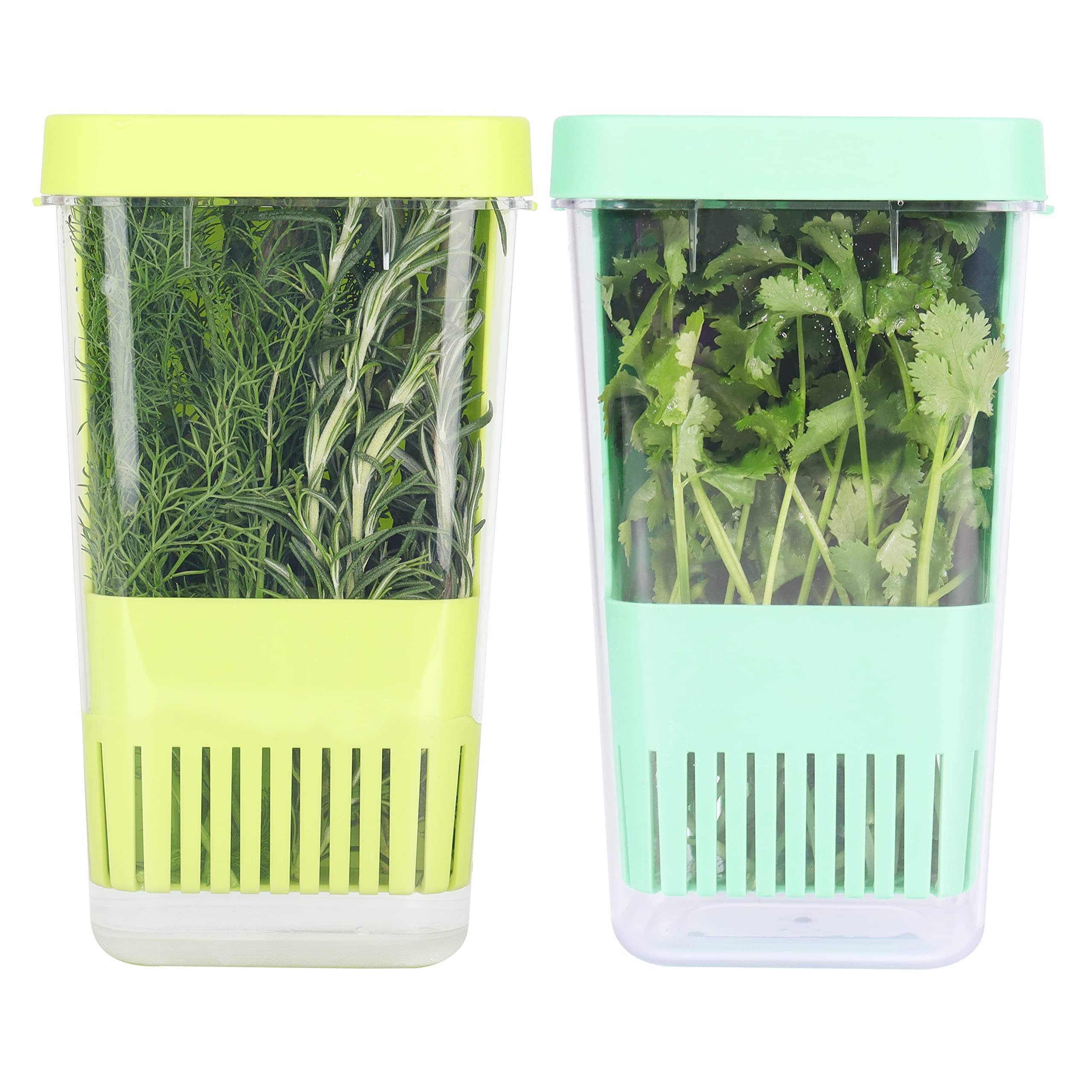 2 Pack Fresh Herb Keeper for Refrigerator, Clear BPA-Free Herb Saver, Storage Container for Cilantro, Parsley, Thyme, Mint & Asparagus, Preserver Keeps Fresh Herbs for 3 Times Longer