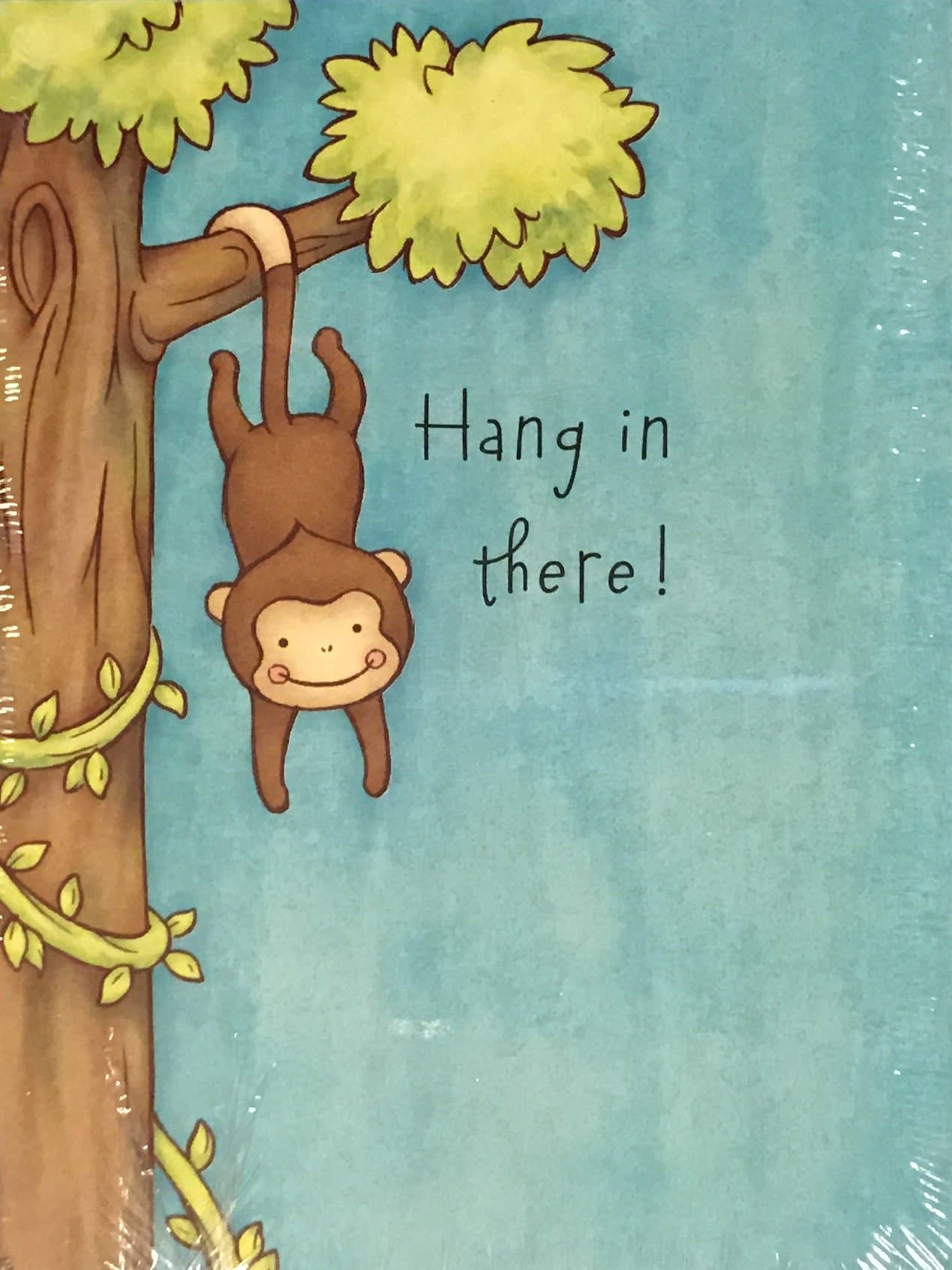 8 Count Hang in There Encouragment Blank Note Cards