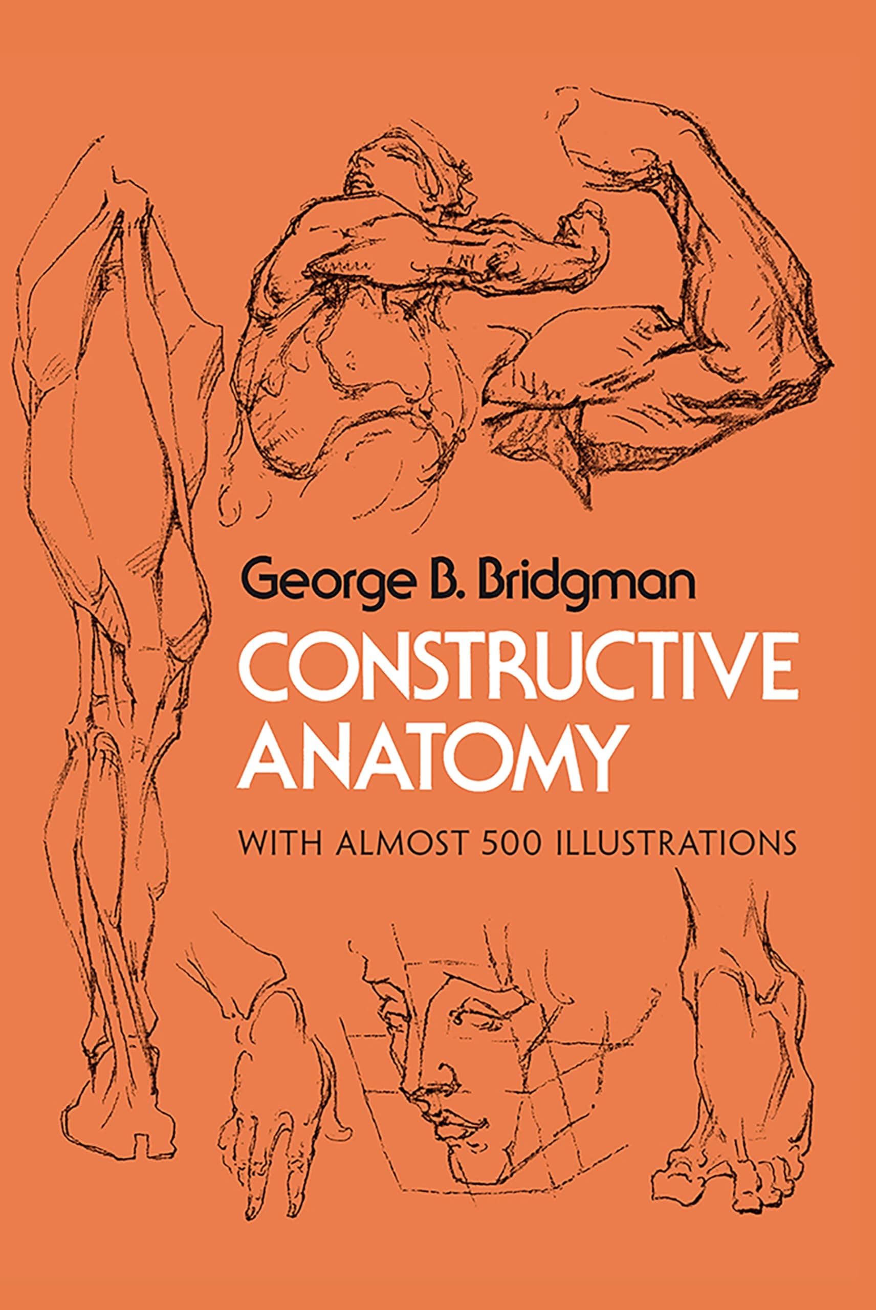 Constructive Anatomy: Includes Nearly 500 Illustrations (Dover Anatomy for Artists)