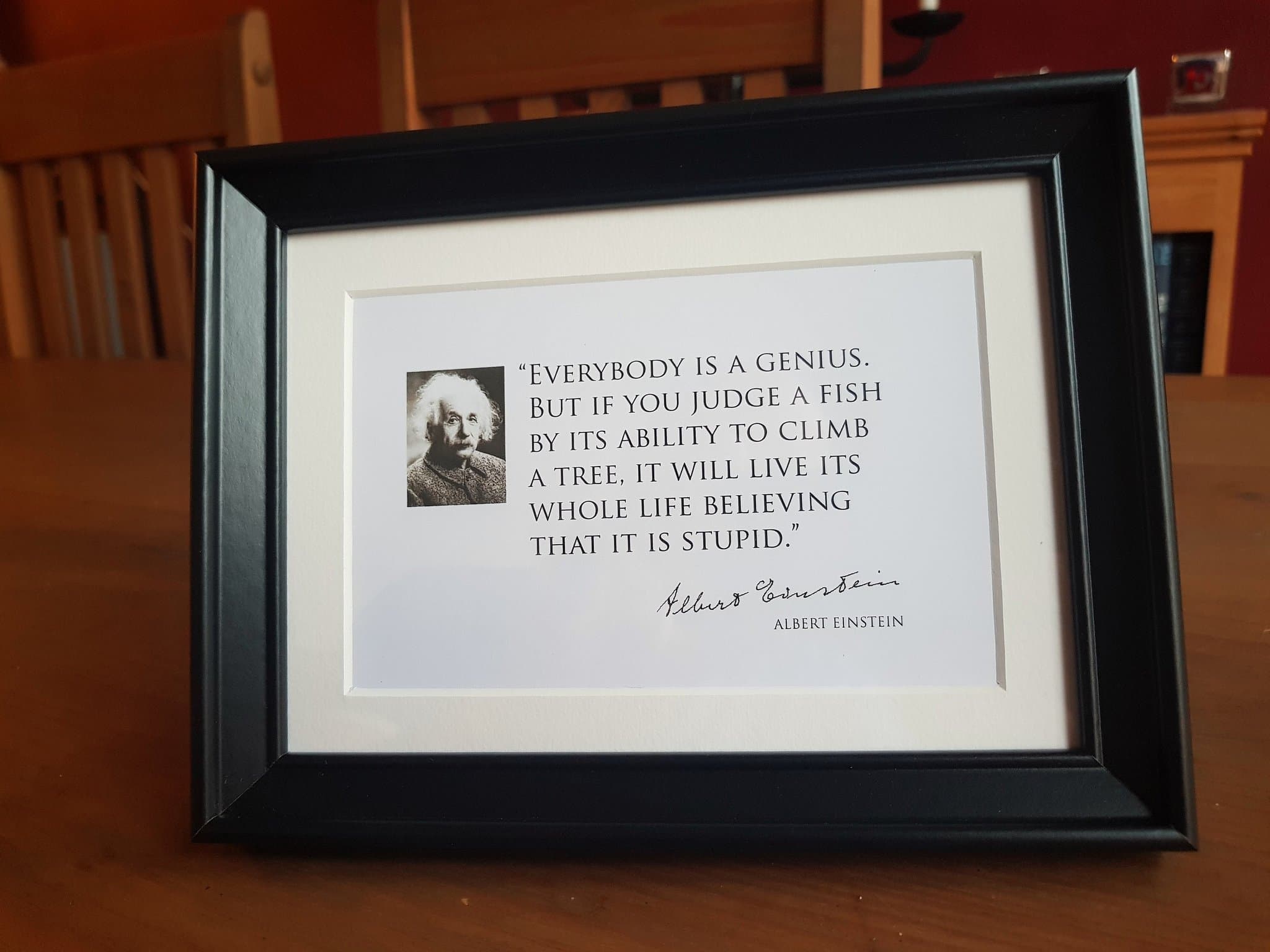 pr Everybody is a Genius - Einstein Quote Frame