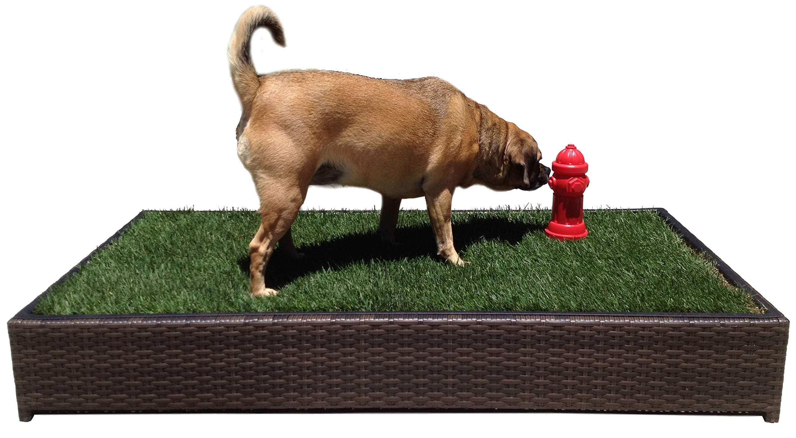 Scented Fire Hydrant for Porch Potty Grass Litter Box
