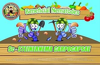 Beneficial Nematodes Sc-Steinernema carpocapsae 250 Million