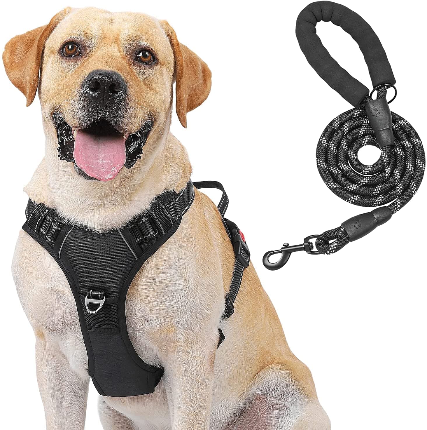 SKADE Dog Harness, No Pull No Choke Front Lead Dog Harness, Reflective Adjustable Soft Padded Vest with 5FT Dog Leash, Dog Seat Belt, and Storage Strap, Set for Small Medium Large Dogs (Small)