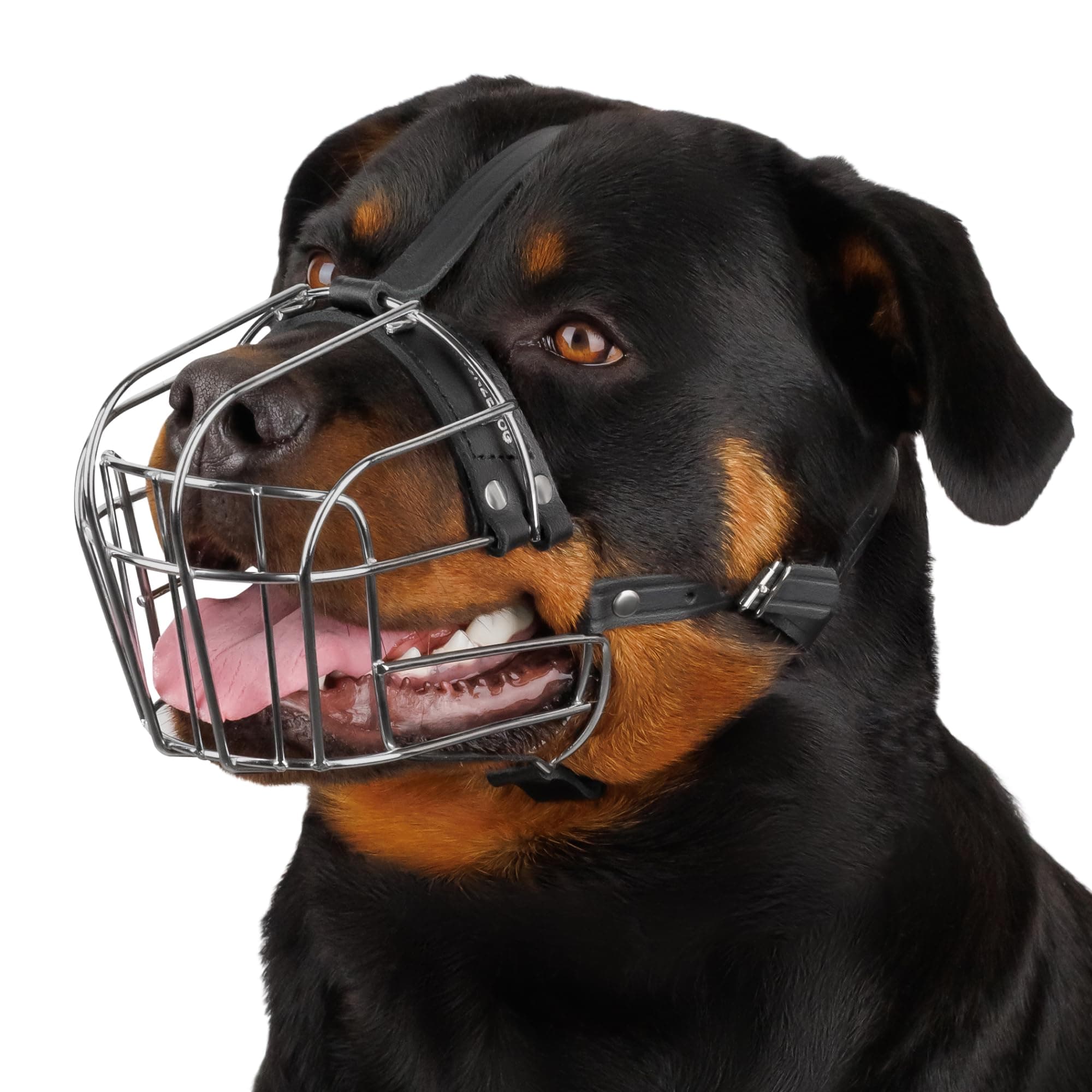 BRONZEDOG Dog Muzzle Adjustable Durable Metal Wire Basket for Large and Extra Large Dogs with Leather Straps Breathable, Drinkable, Training, Prevents Biting (Stainless Steel, Rottweiler)